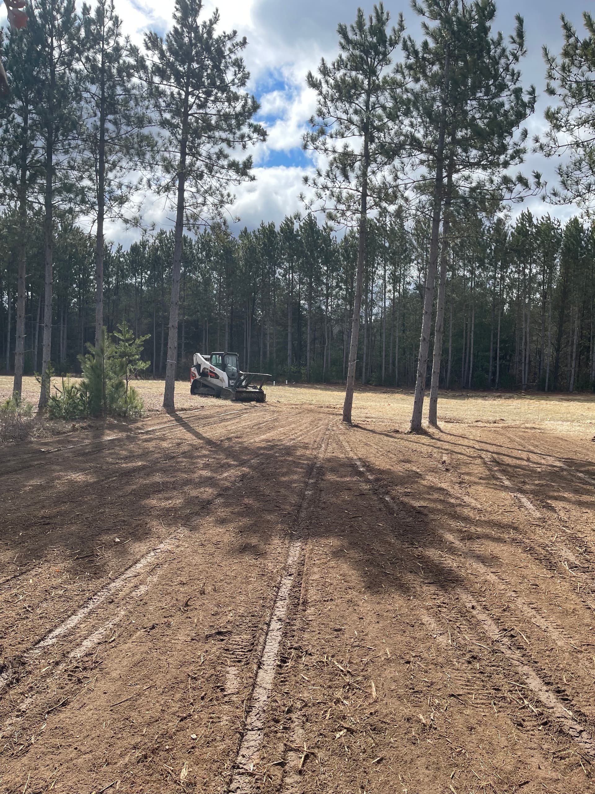 Forestry Mulching in Grand Marsh Opens New Possibilities image