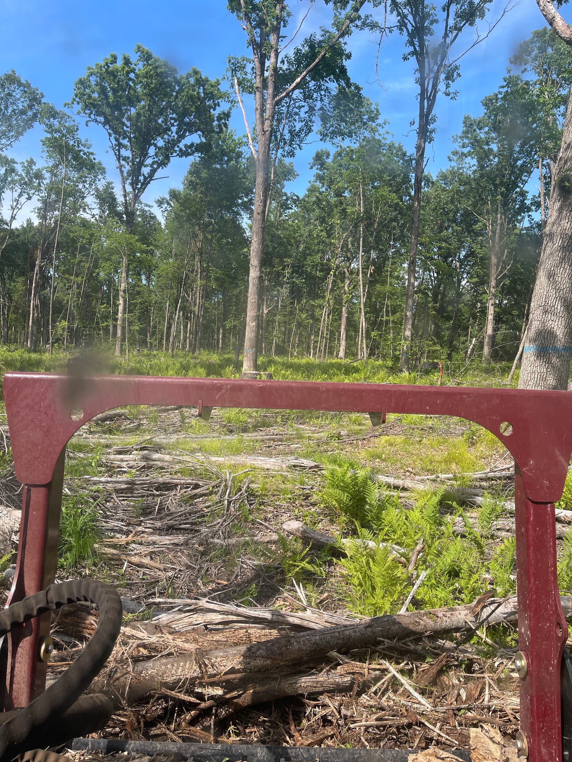 Gallery photos for Forestry Mulching Cleans Up Logging Trails Near Neillsville: Image #1