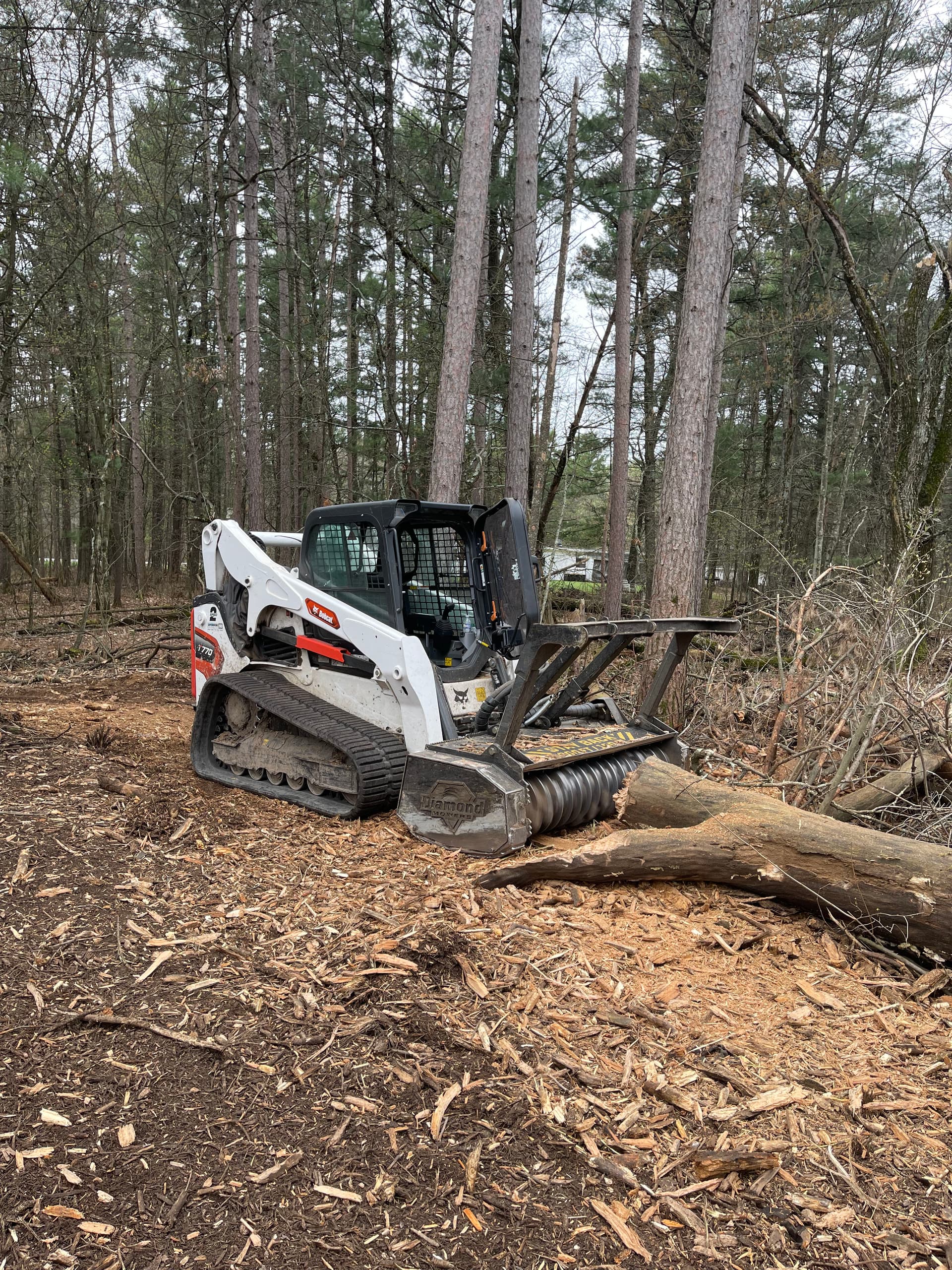 Gallery photos for Backyard Brush Clearing Done Right in Kronenwetter: Image #3