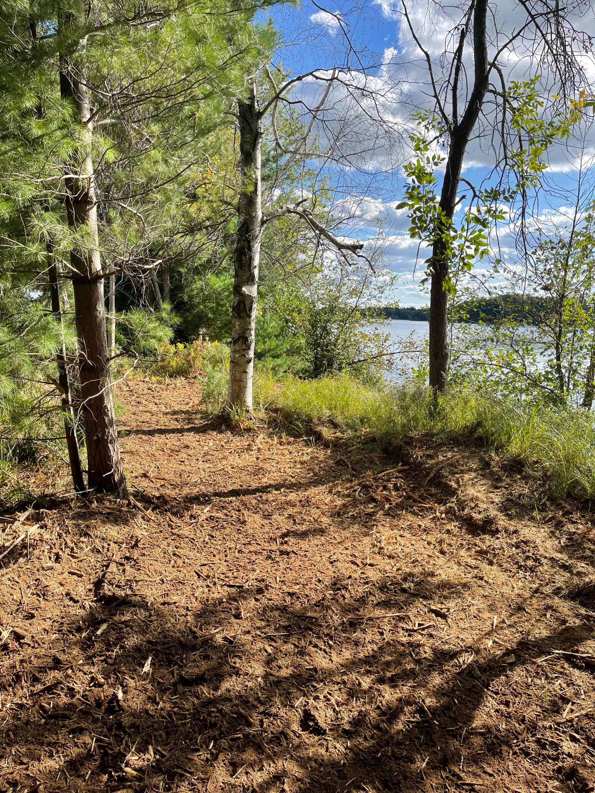 Gallery photos for Forestry Mulching Clears Overgrown Lake DuBay Shoreline in Mosinee: Image #2