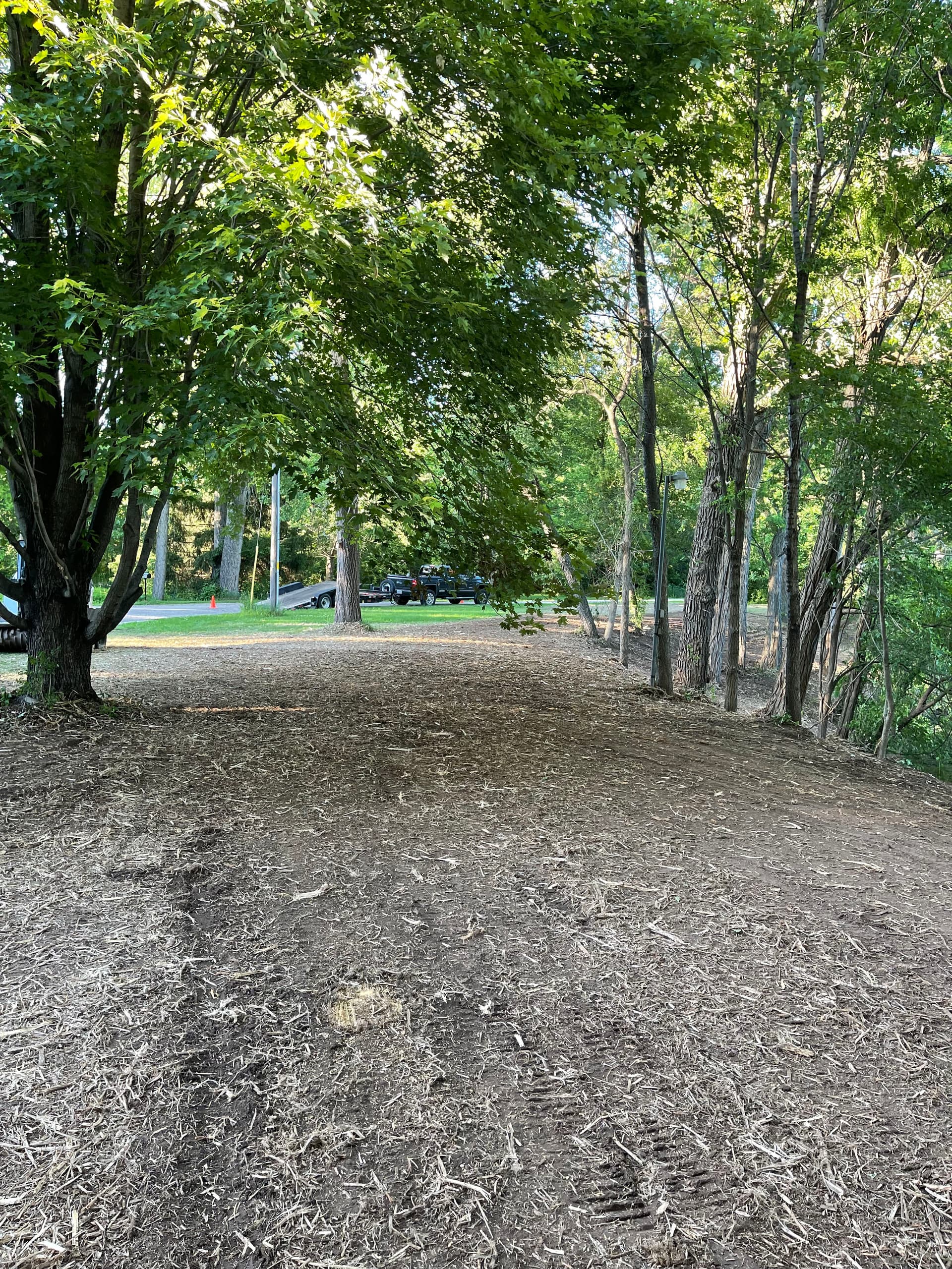Gallery photos for Forestry Mulching Cleans Up Overgrown Riverfront Property in Mosinee: Image #5