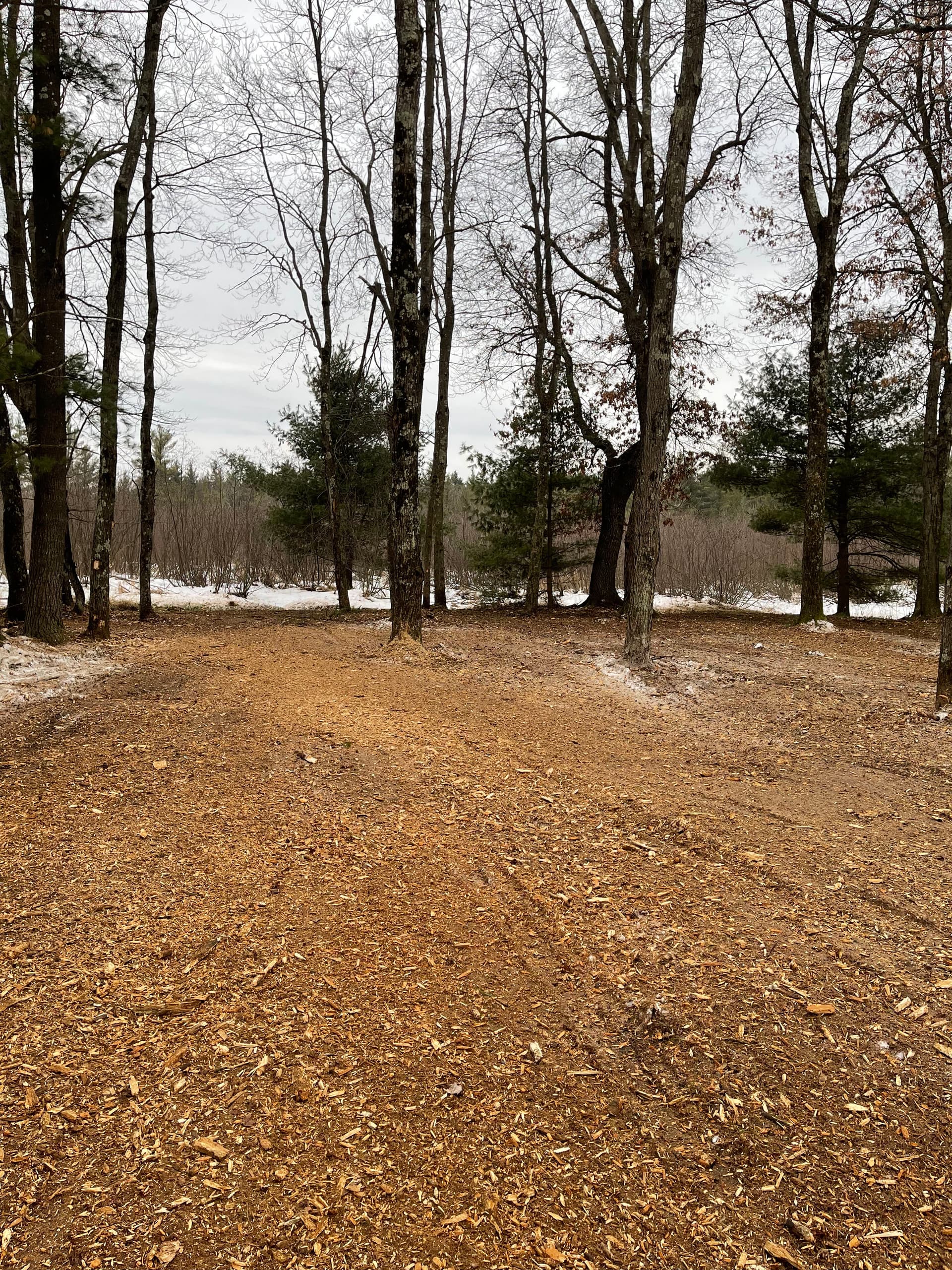 Gallery photos for Trail Creation with Forestry Mulching in Neillsville: Image #1