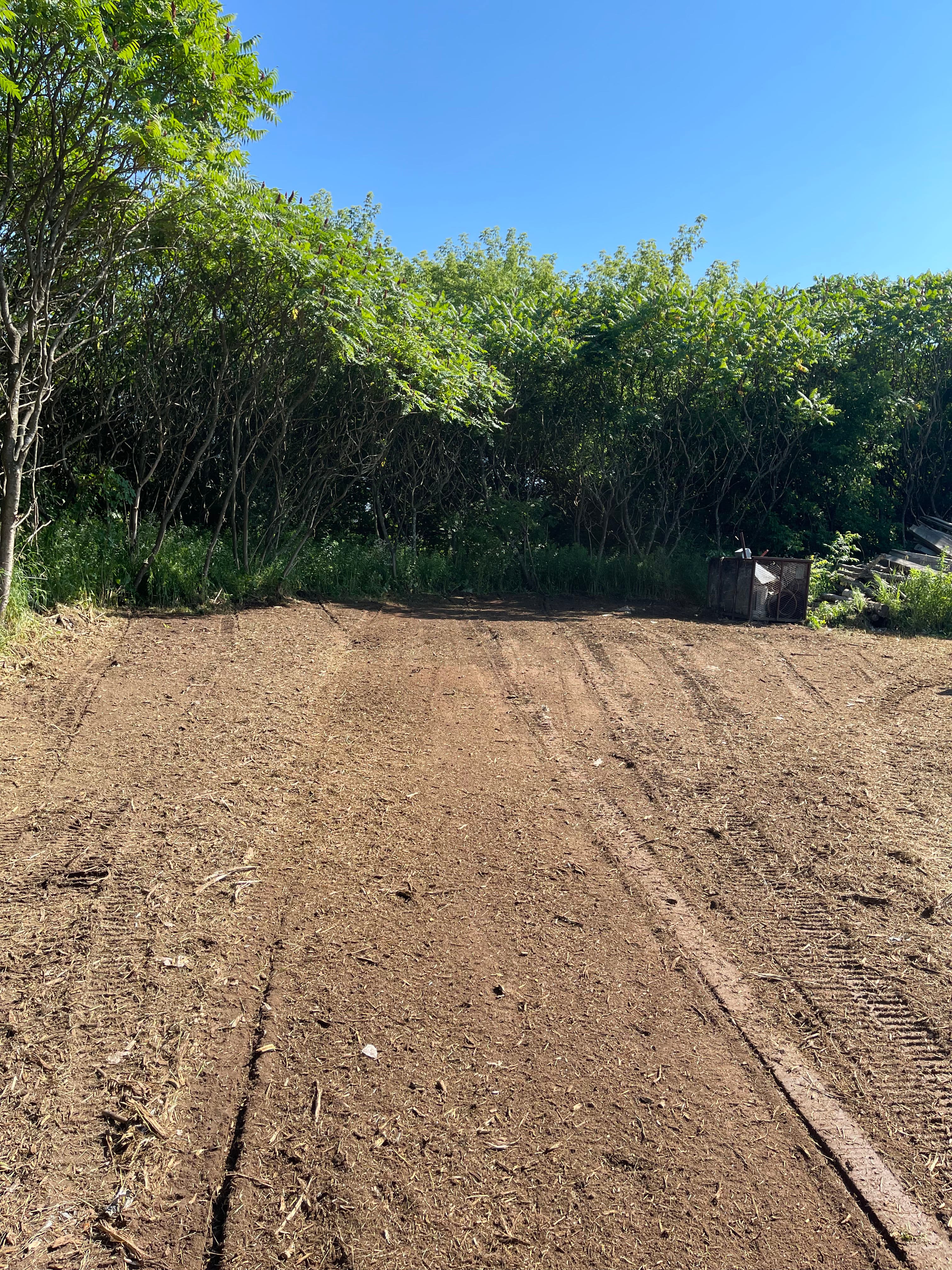 Project Forestry Mulching Clears Overgrown Farm Property in Mosinee image
