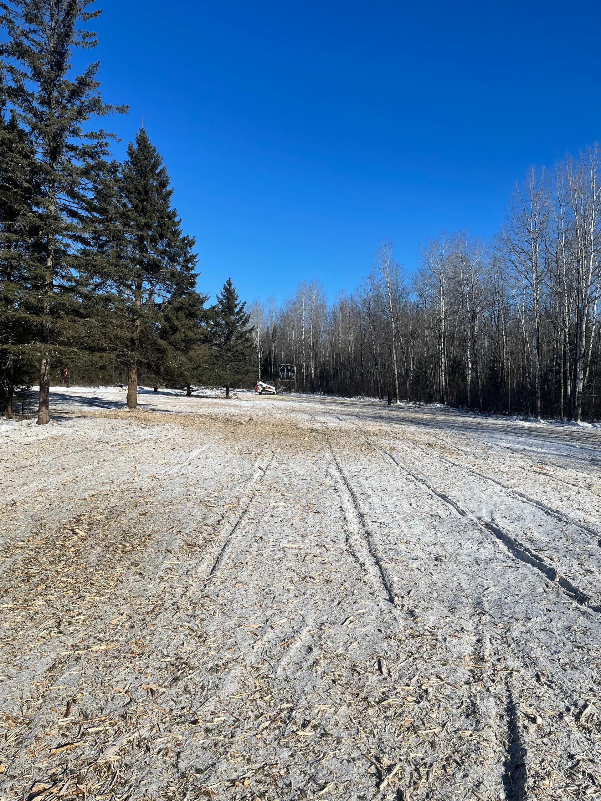 Gallery photos for Forestry Mulching for Clear Paths in Hewitt: Image #2