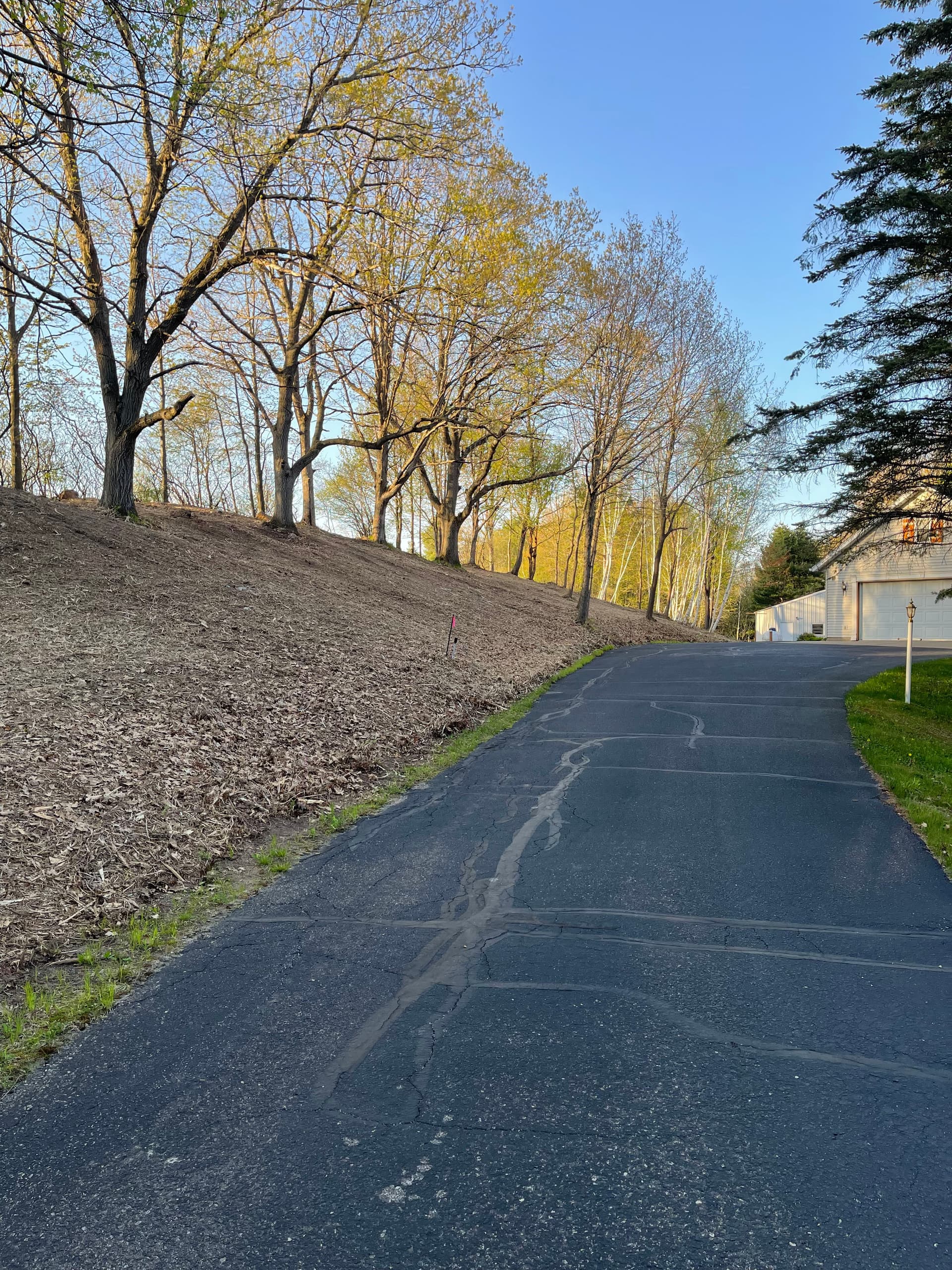 Overgrown Hillside Cleanup in Hatley WI Done Right image