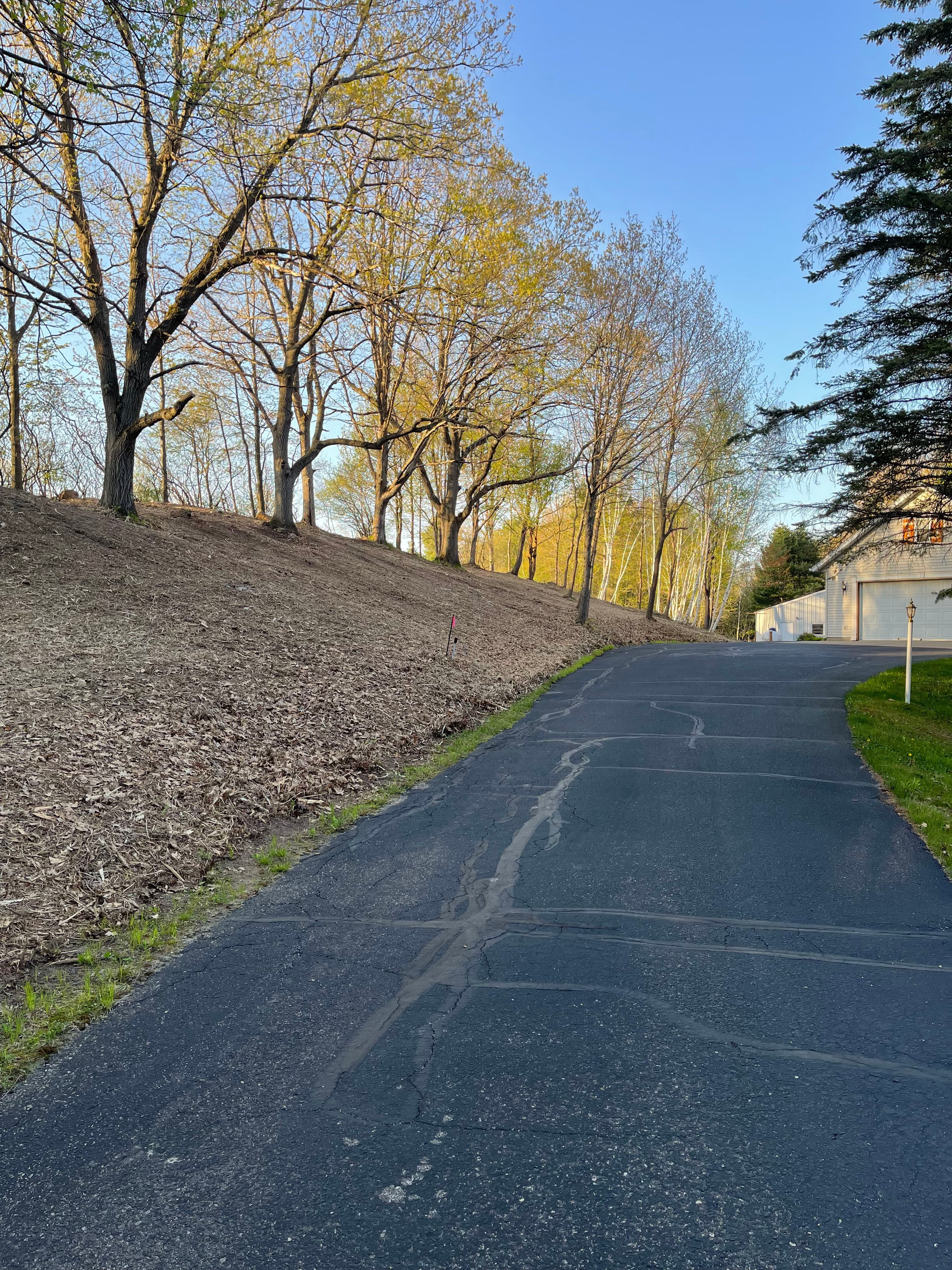 Project Overgrown Hillside Cleanup in Hatley WI Done Right image