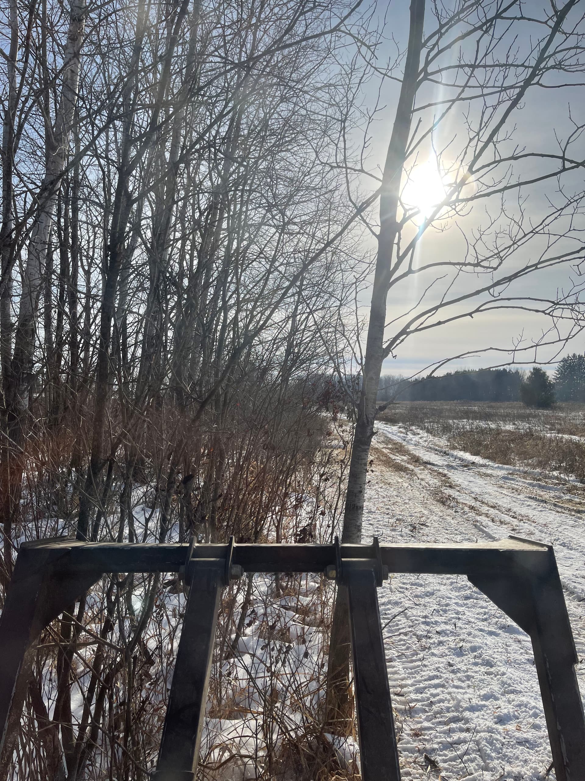 Gallery photos for Trail Clearing at Carson Wetland Site: Image #1