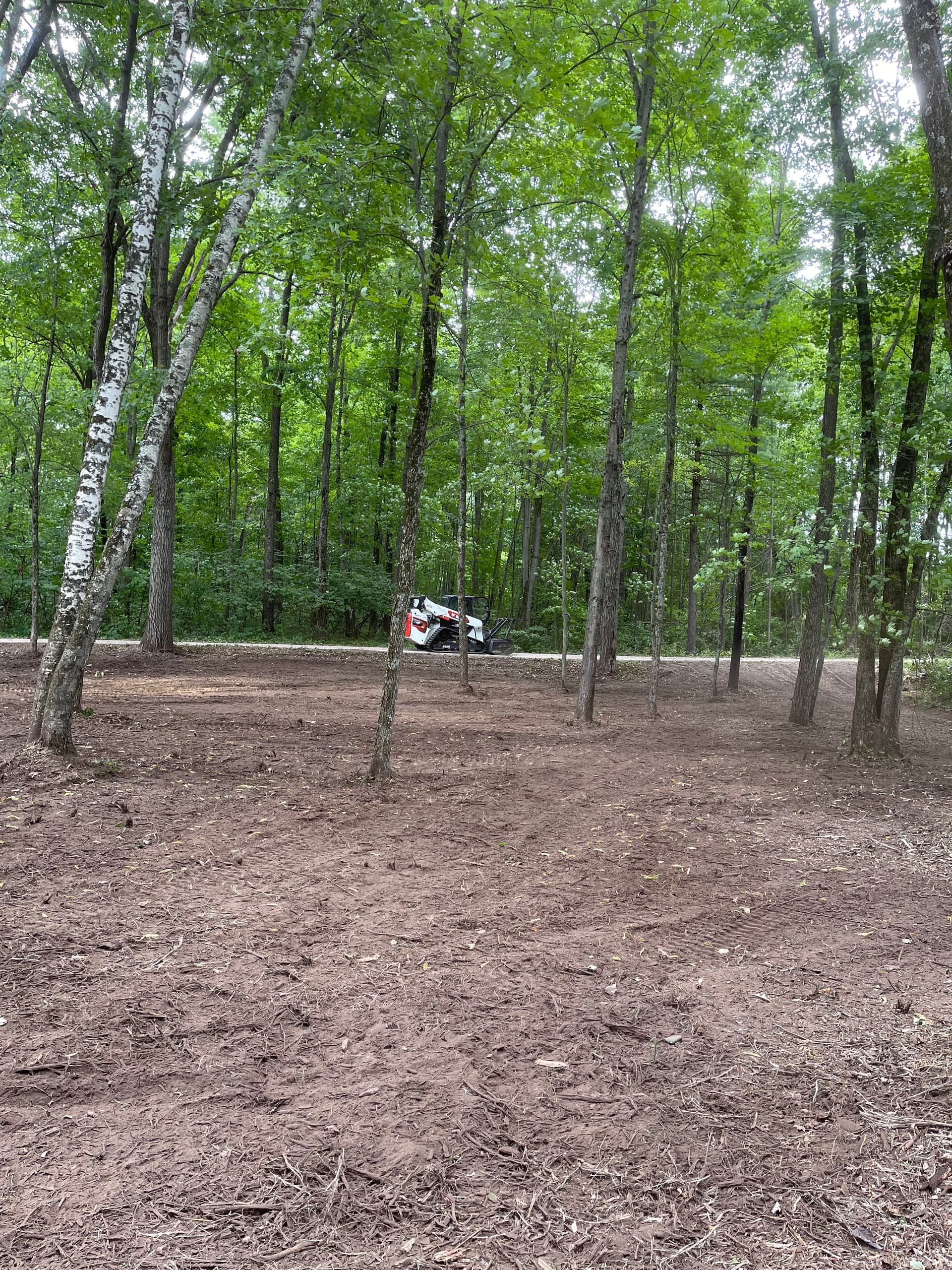 Gallery photos for Forestry Mulching Opens Up Overgrown Front Yard Near Pallen Lake: Image #7