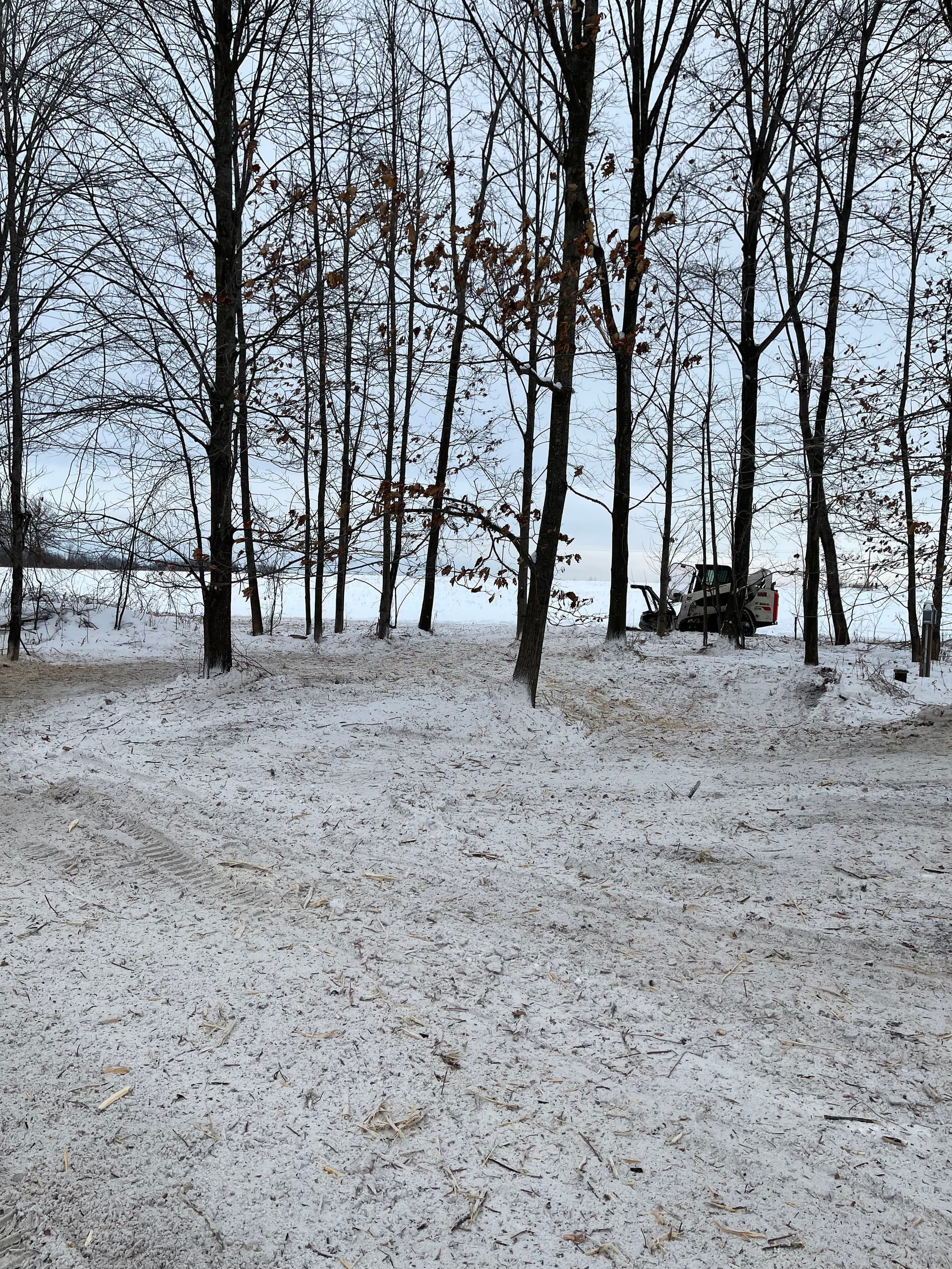 Gallery photos for Forestry Mulching in Mosinee Creating Winter Landscapes: Image #2