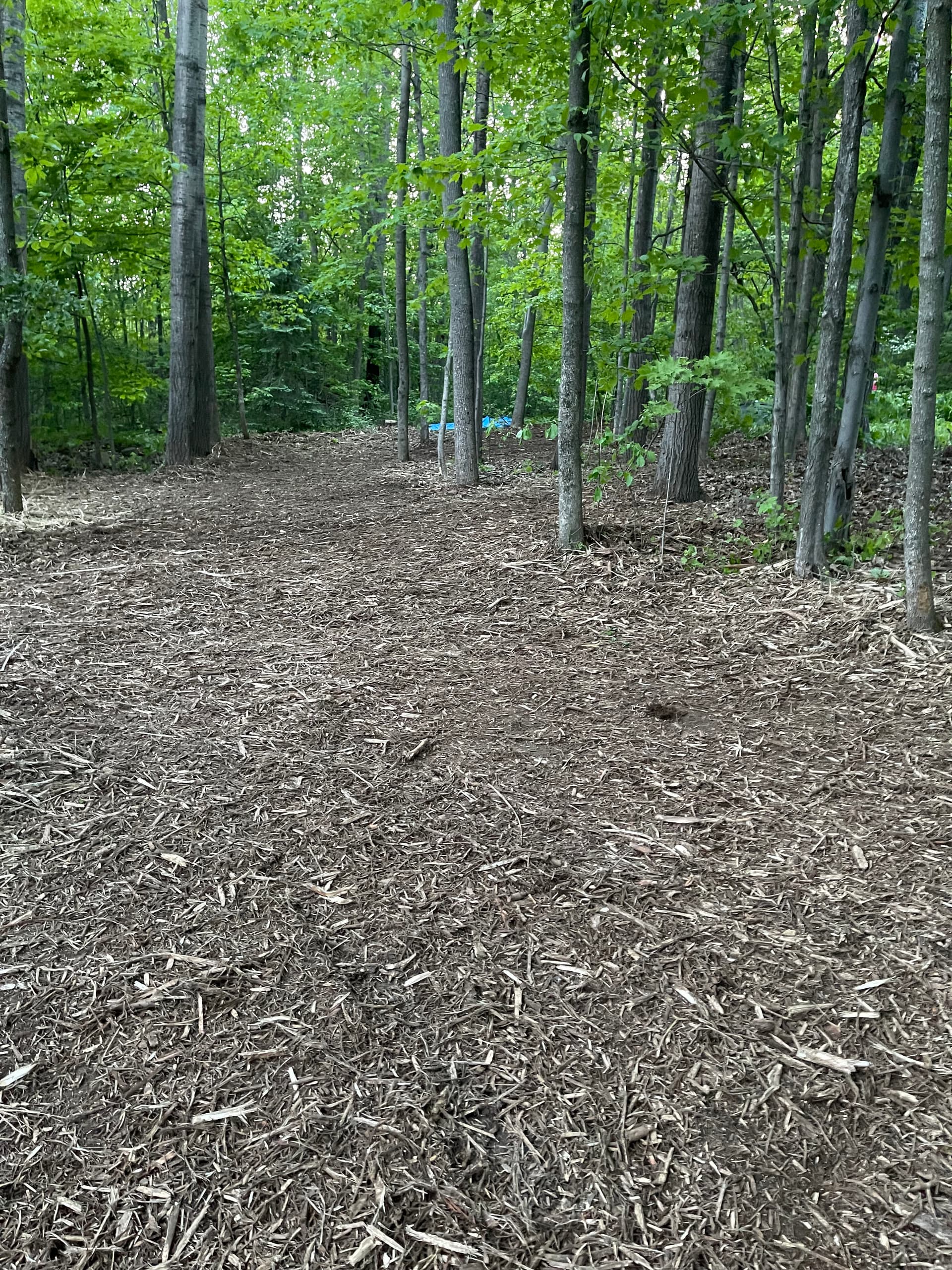 Gallery photos for Forestry Mulching and Log Cleanup in Rib Mountain: Image #3