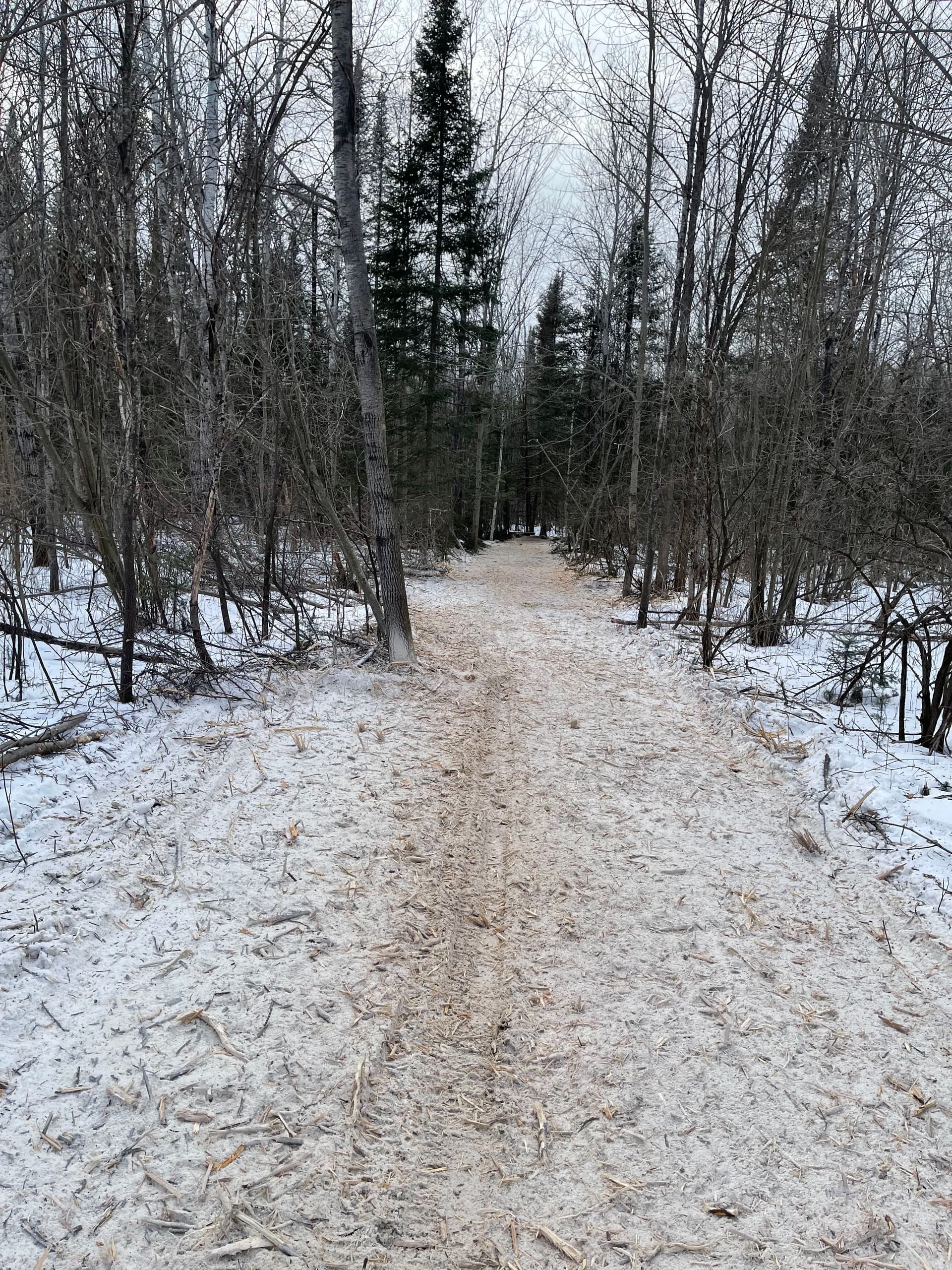 Gallery photos for Crafting Clear Paths Through Winter Woodlands: Image #4