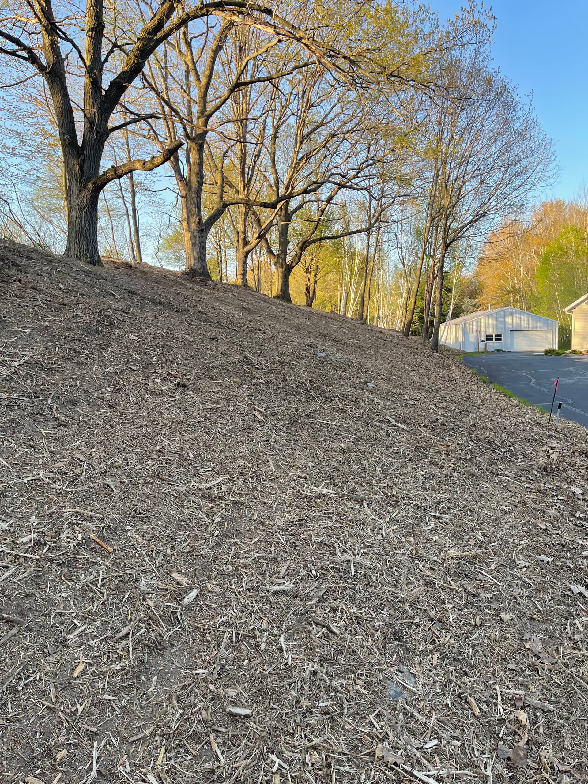 Gallery photos for Overgrown Hillside Cleanup in Hatley WI Done Right: Image #1