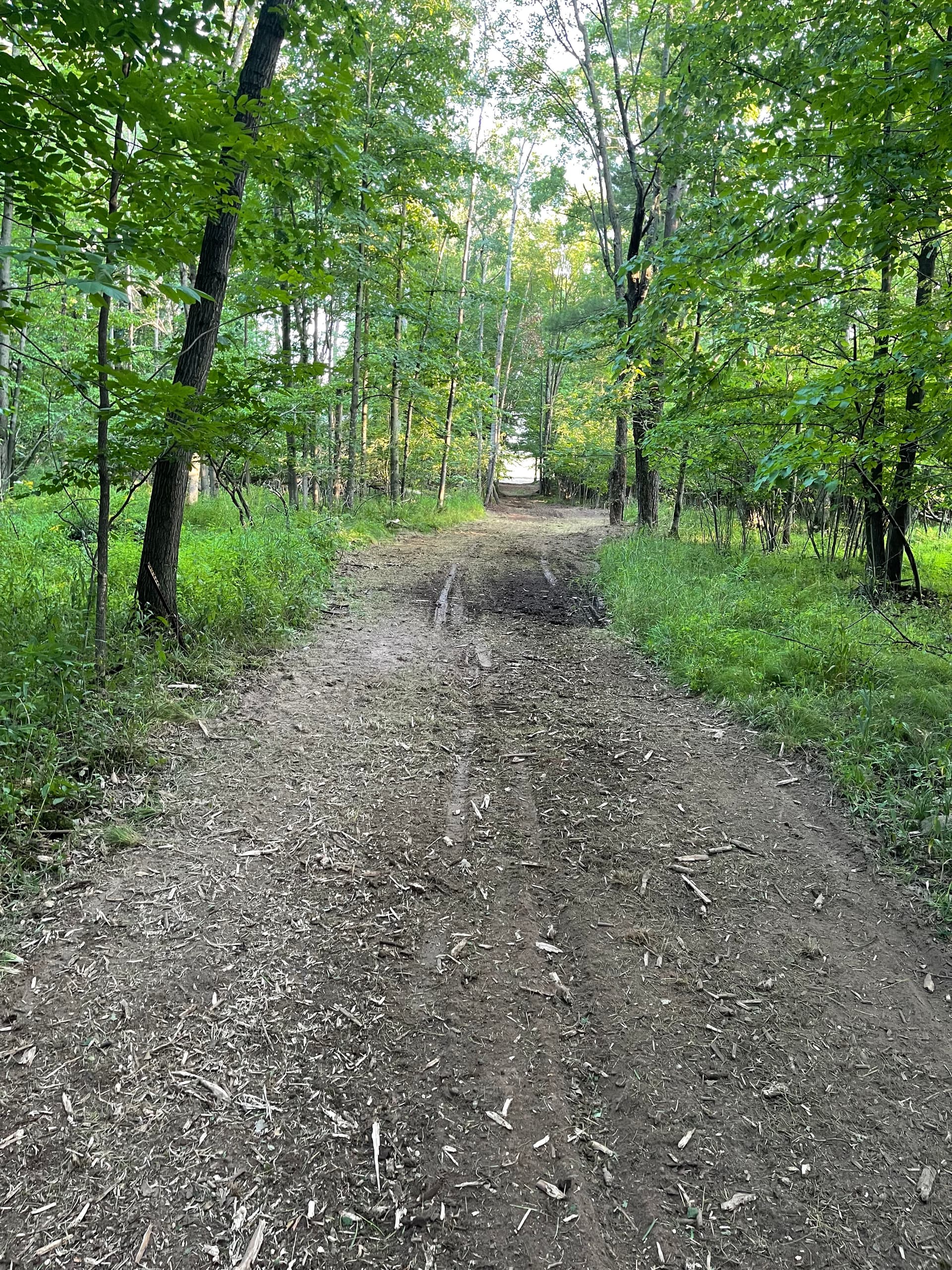 Gallery photos for Farm Trail Cleared and Opened Up in Loyal: Image #7