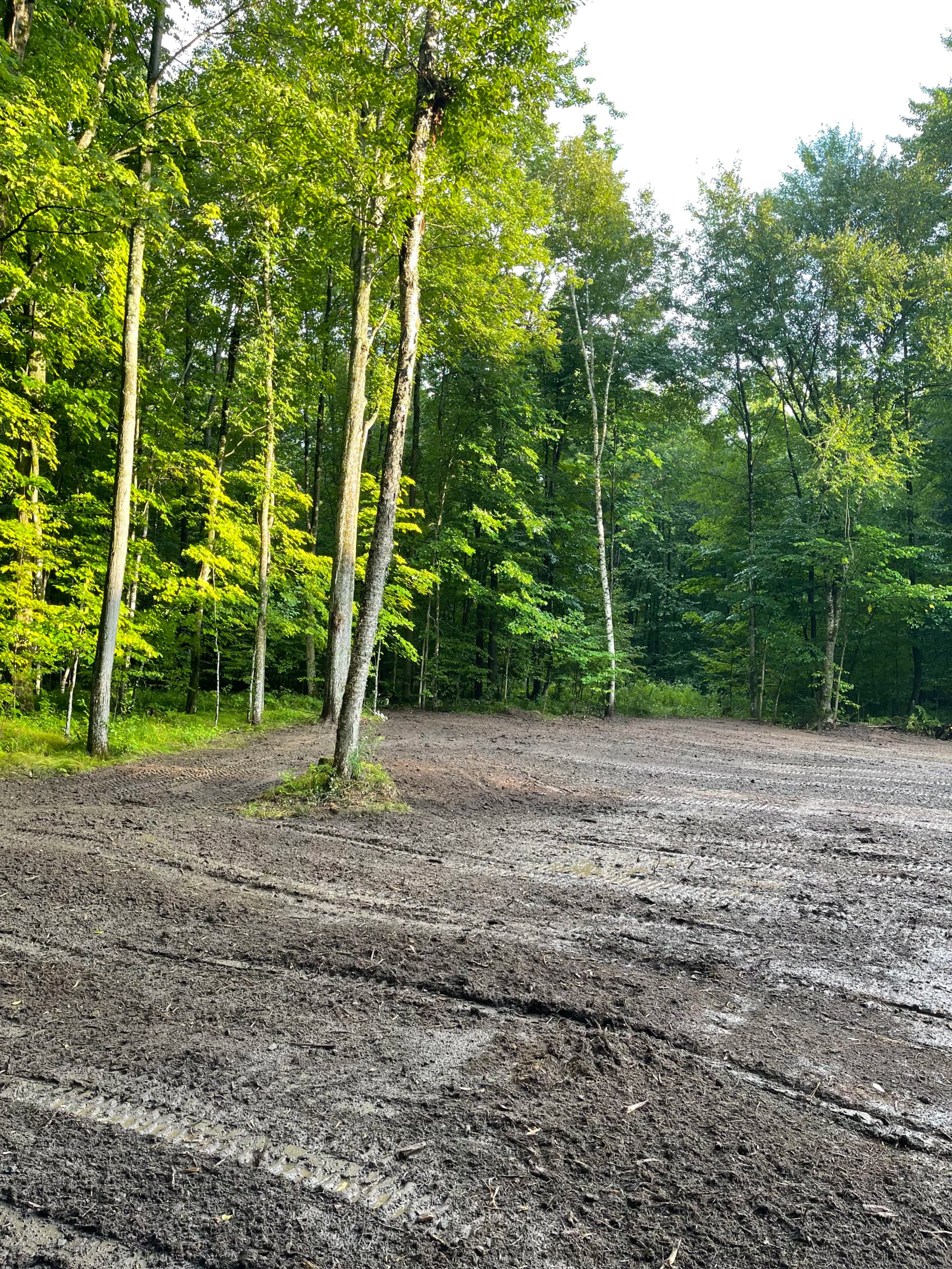 Gallery photos for Forestry Mulching a Food Plot in Mosinee: Image #2