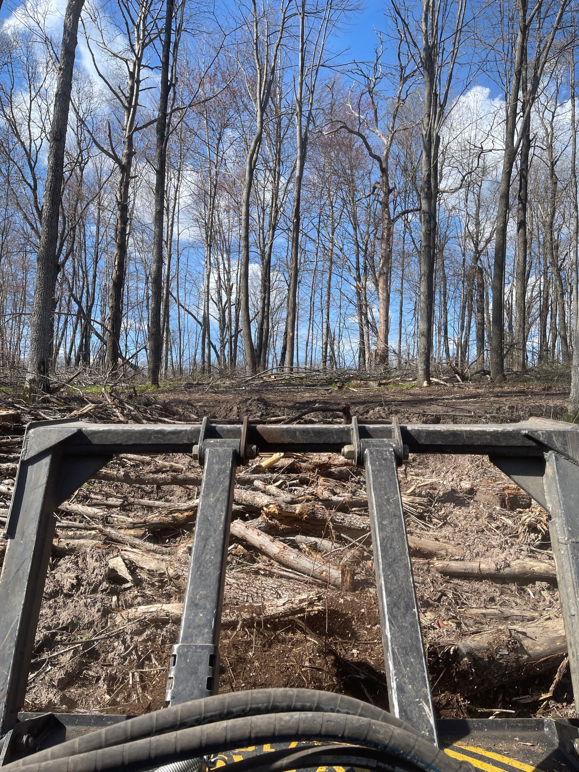 Gallery photos for Forestry Mulching Cleans Up Logging Debris in New Hope: Image #1