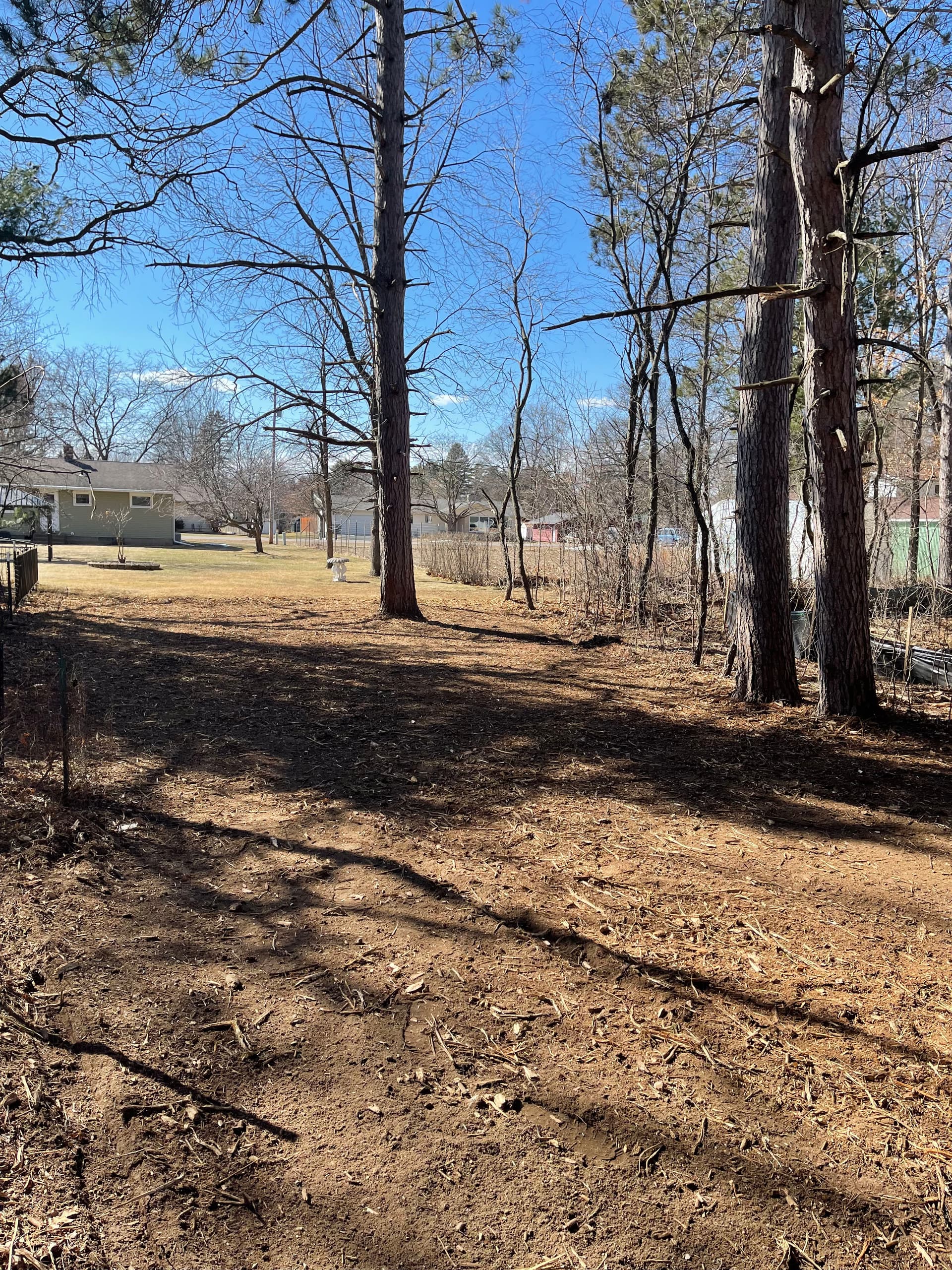 Gallery photos for Backyard Forestry Mulching in Weston: Image #4