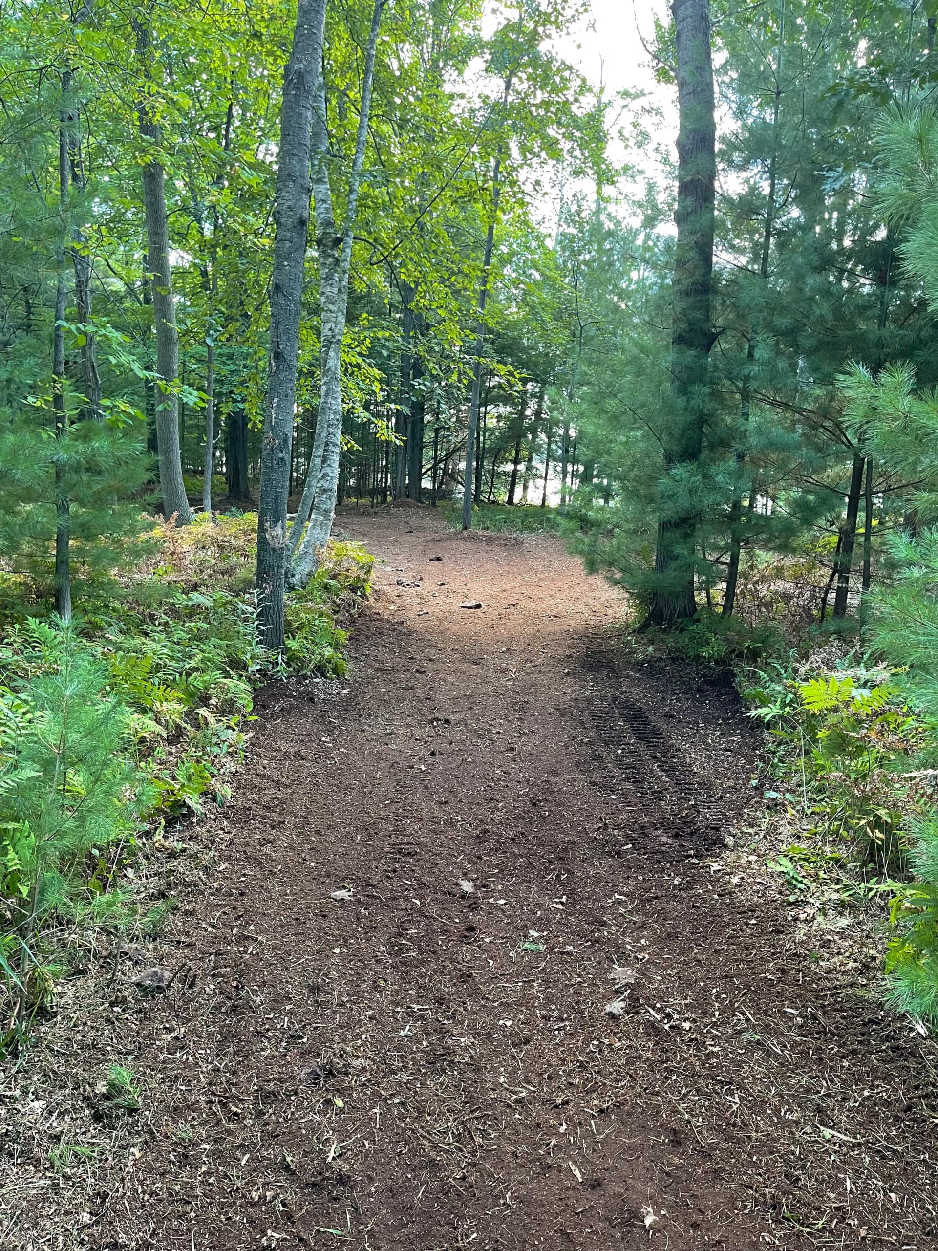 Gallery photos for Forestry Mulching Clears Overgrown Lake DuBay Shoreline in Mosinee: Image #6