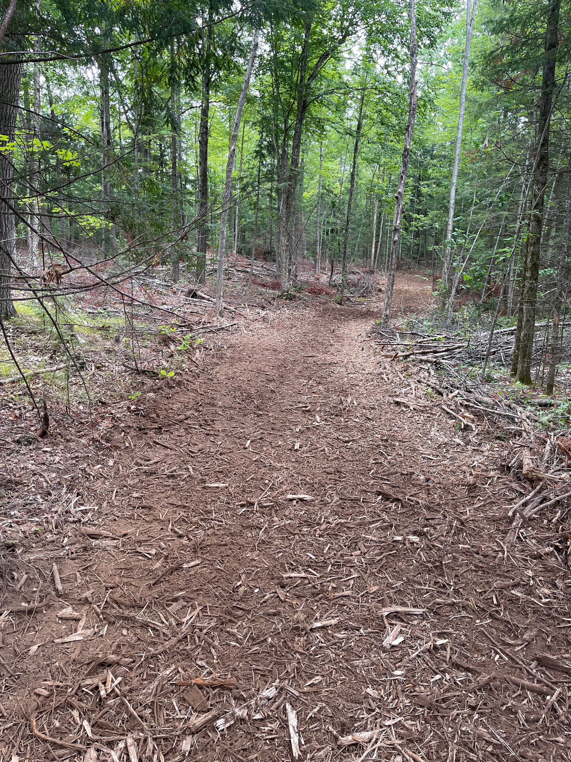 Timber Slash Mulching Clears a Usable Trail in Rib Lake image