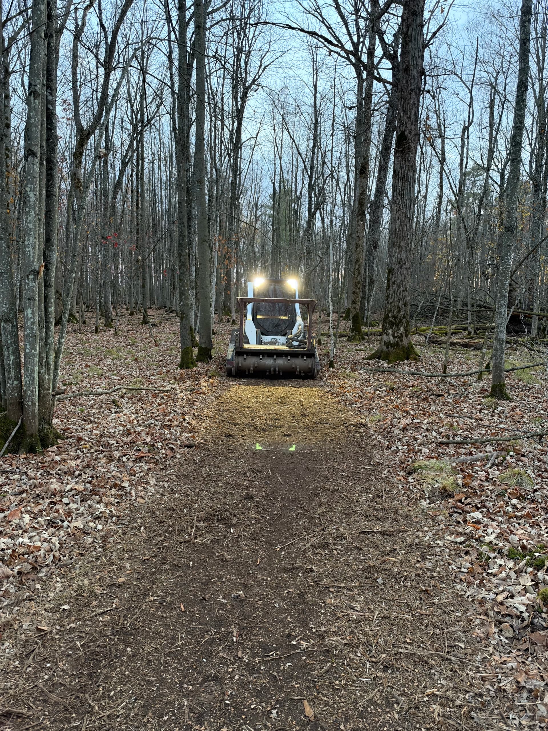 Forestry Mulching Clears Wooded Trails on a Loyal Farm image