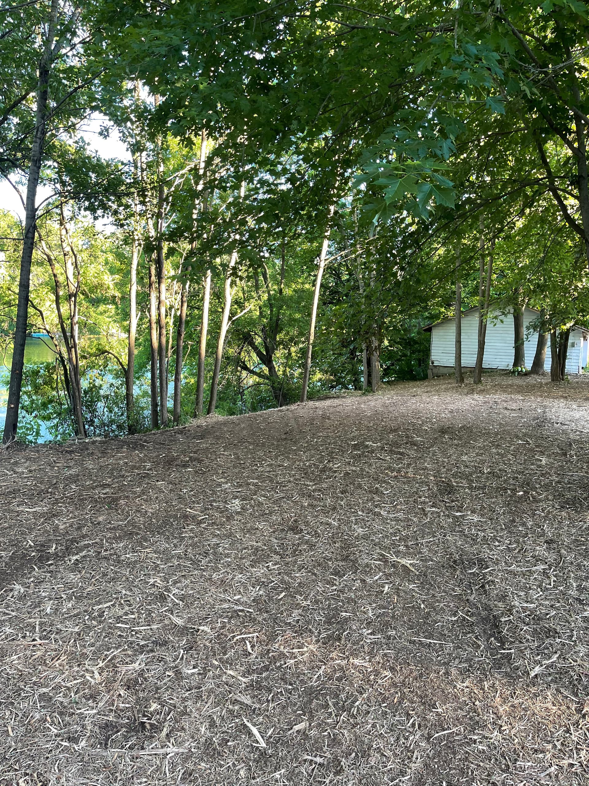 Gallery photos for Forestry Mulching Cleans Up Overgrown Riverfront Property in Mosinee: Image #8