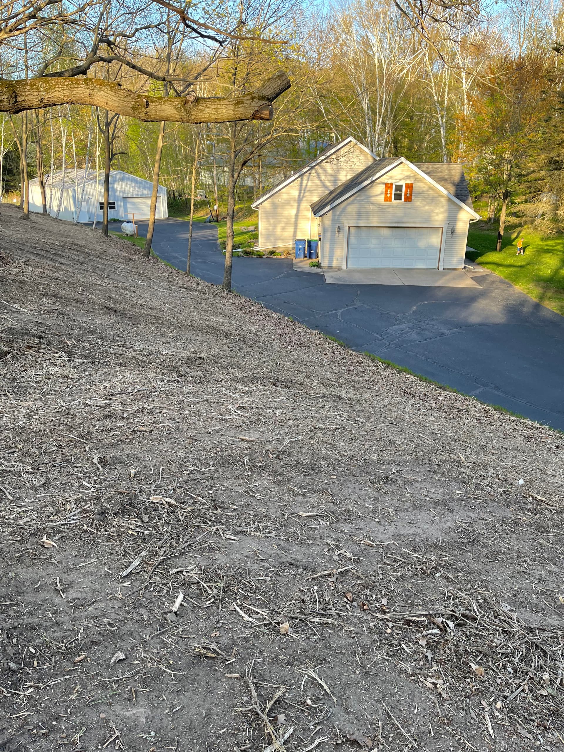 Gallery photos for Overgrown Hillside Cleanup in Hatley WI Done Right: Image #8
