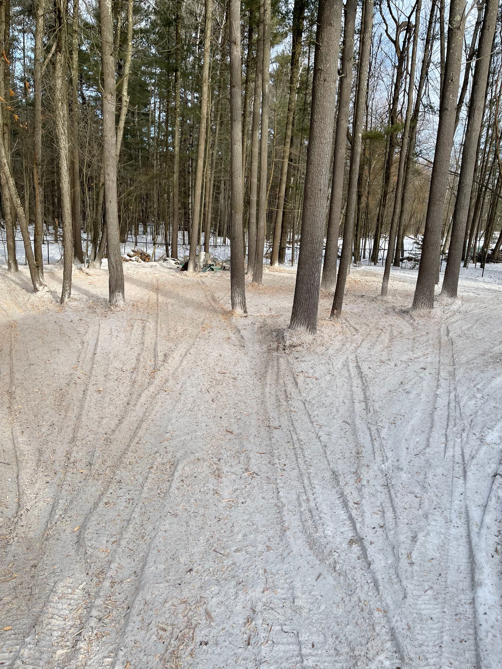 Gallery photos for Forestry Mulching Project in Wausau: Image #1