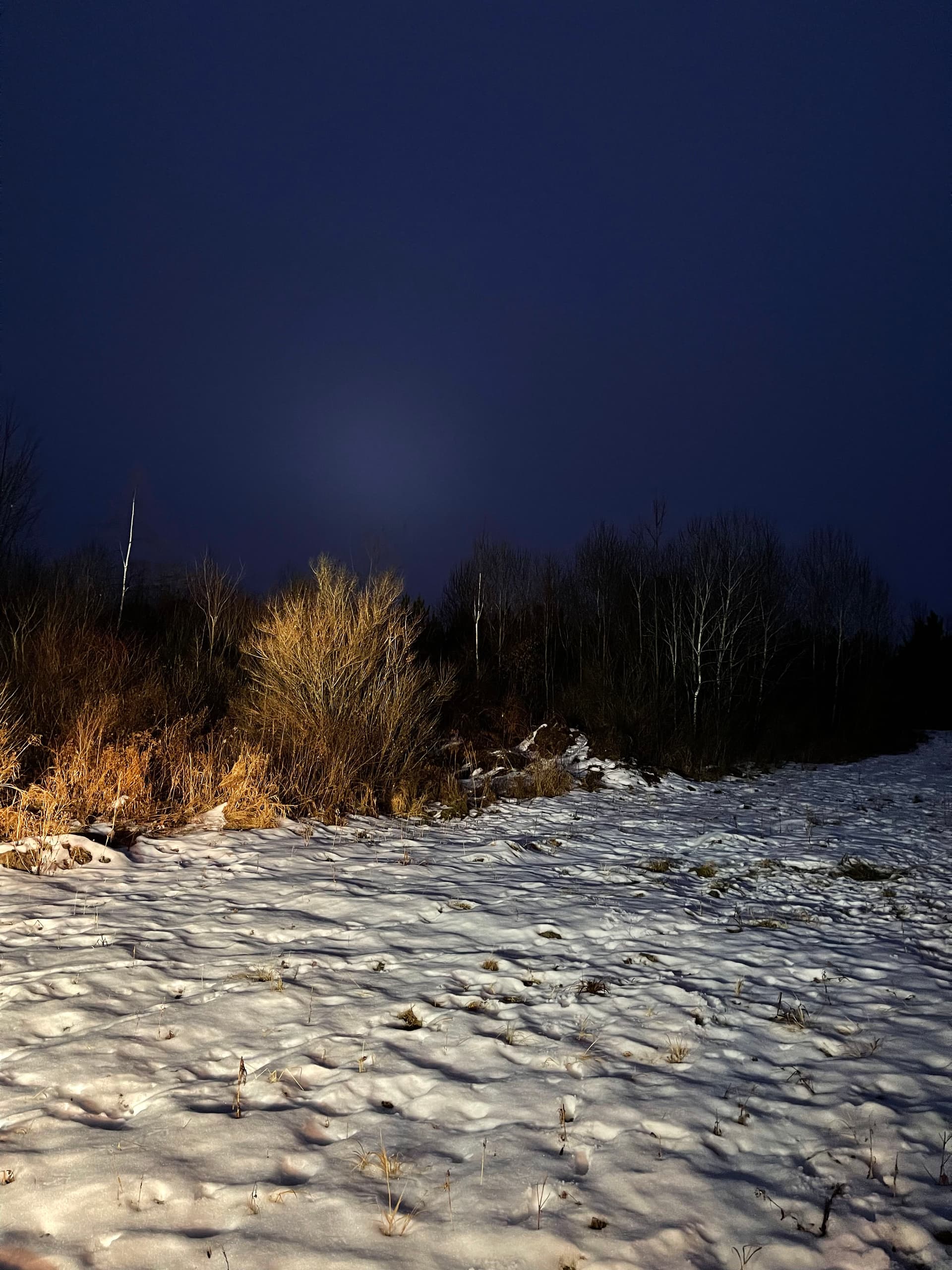 Gallery photos for Land Clearing Success with Forestry Mulching on Pesabic Lake: Image #2