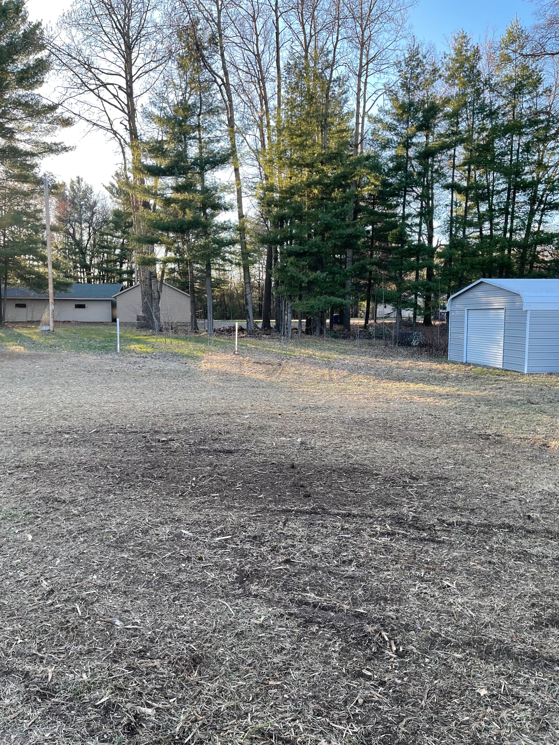 Gallery photos for Forestry Mulching Brush Clearing on Lake DuBay: Image #7