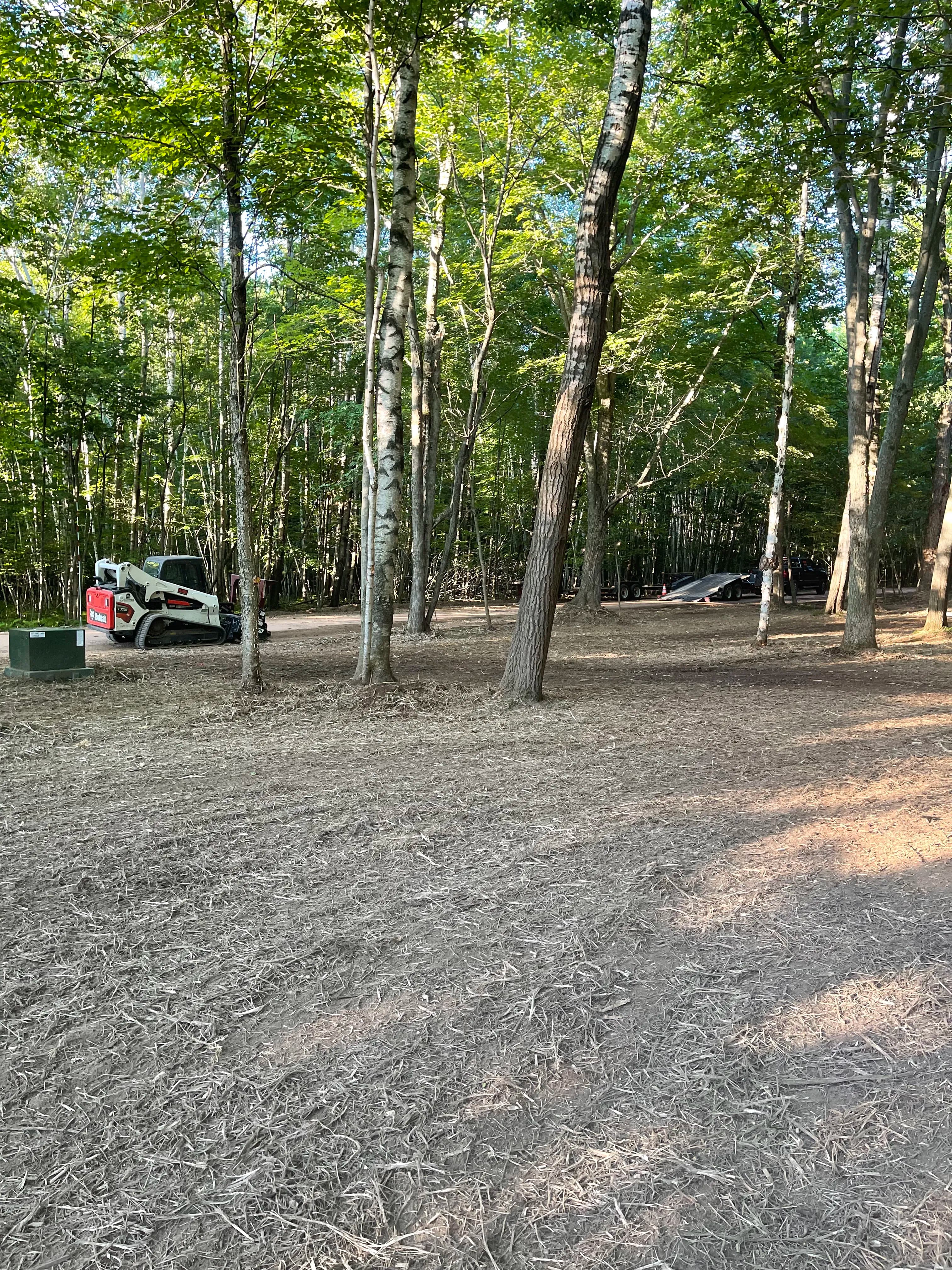 Project Forestry Mulching Clears Overgrown Woodland Property in Mosinee image
