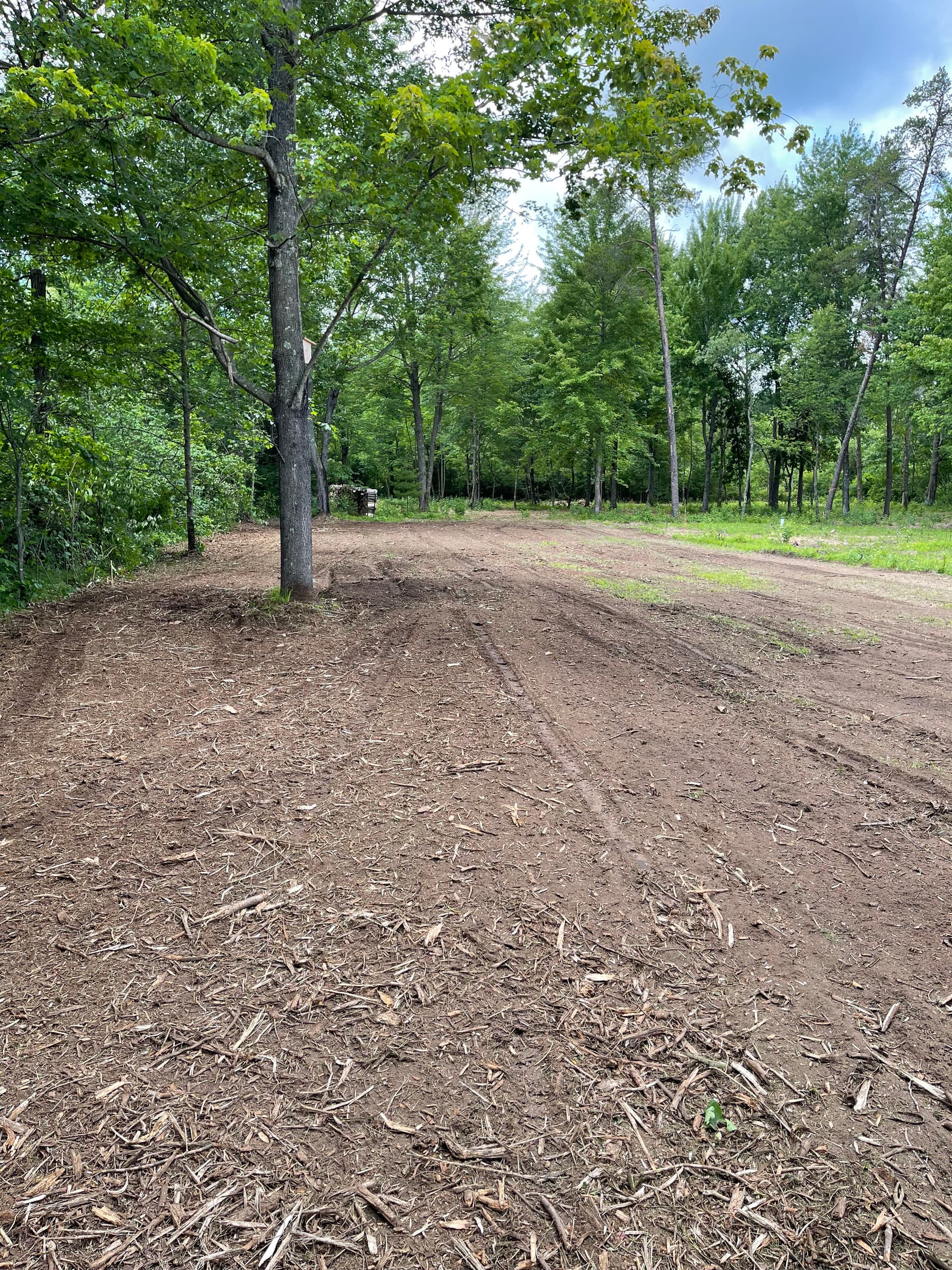 Gallery photos for Forestry Mulching Clears Barndominium Site Near Lake DuBay in Mosinee: Image #3