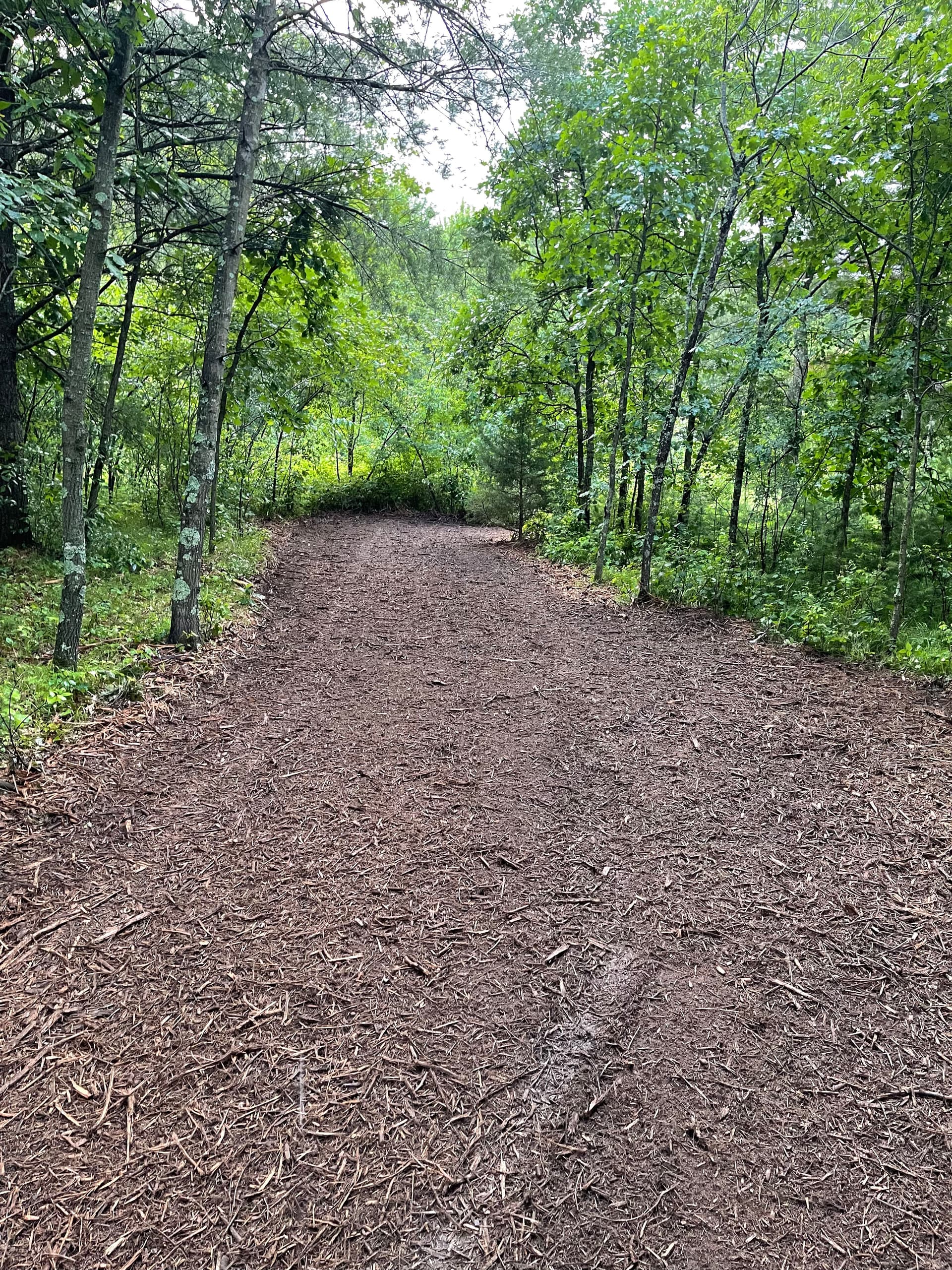 Gallery photos for Forestry Mulching Opens Up Fresh Trails Near Lake DuBay: Image #7