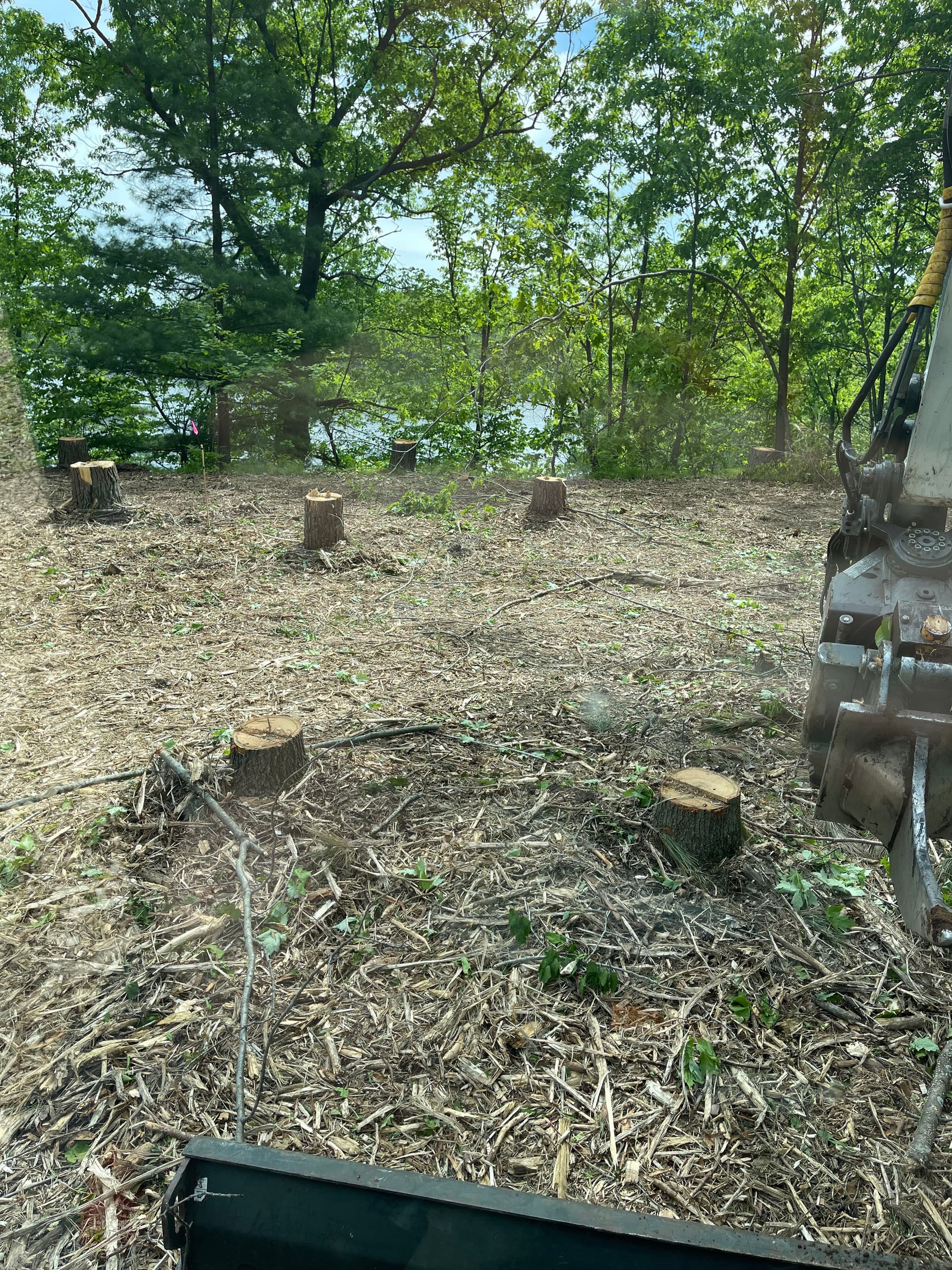 Gallery photos for Wooded Lot Cleared for a New Build in Mosinee: Image #3