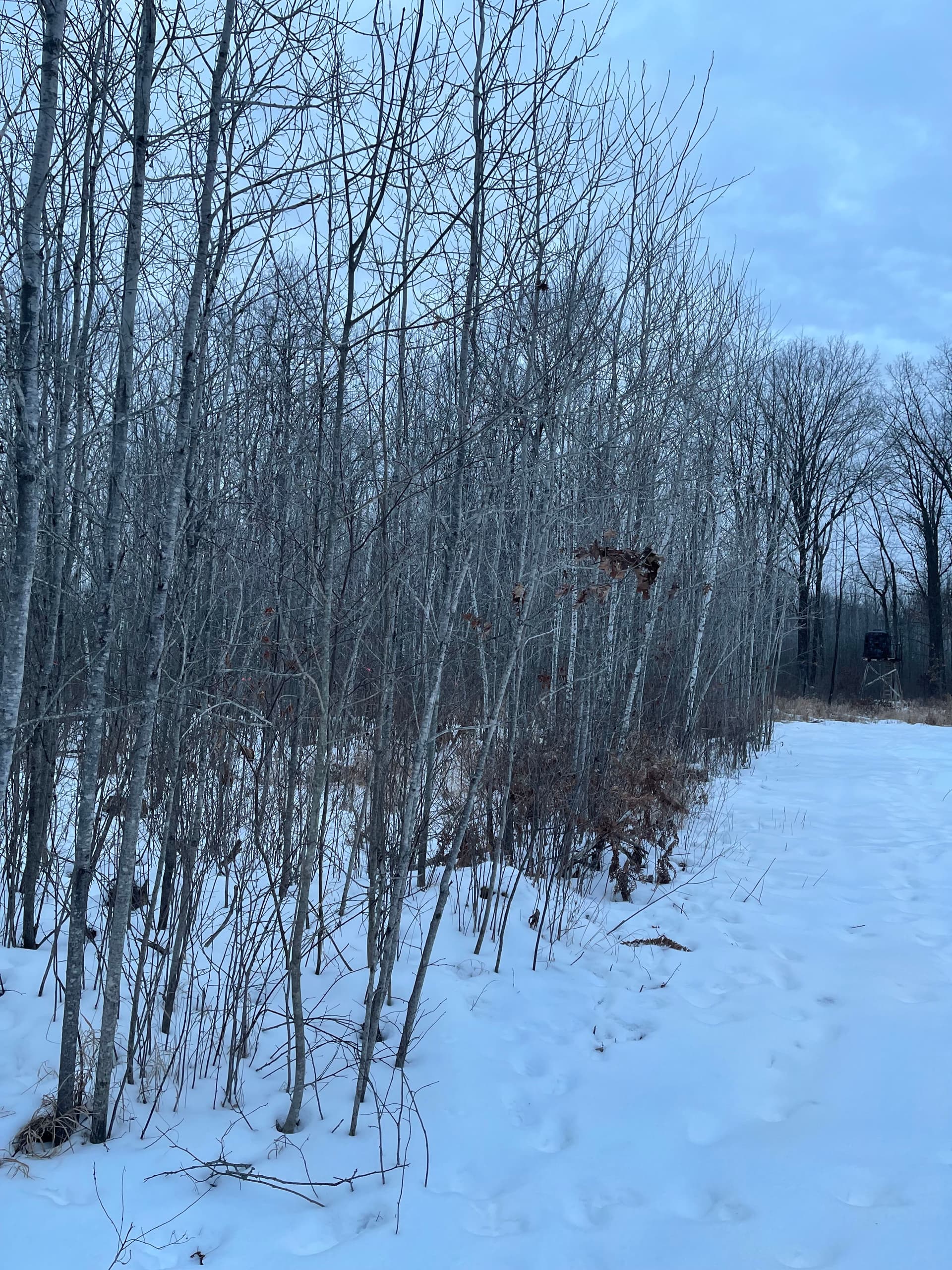 Winter Wonderland Transformation Near Bevent image