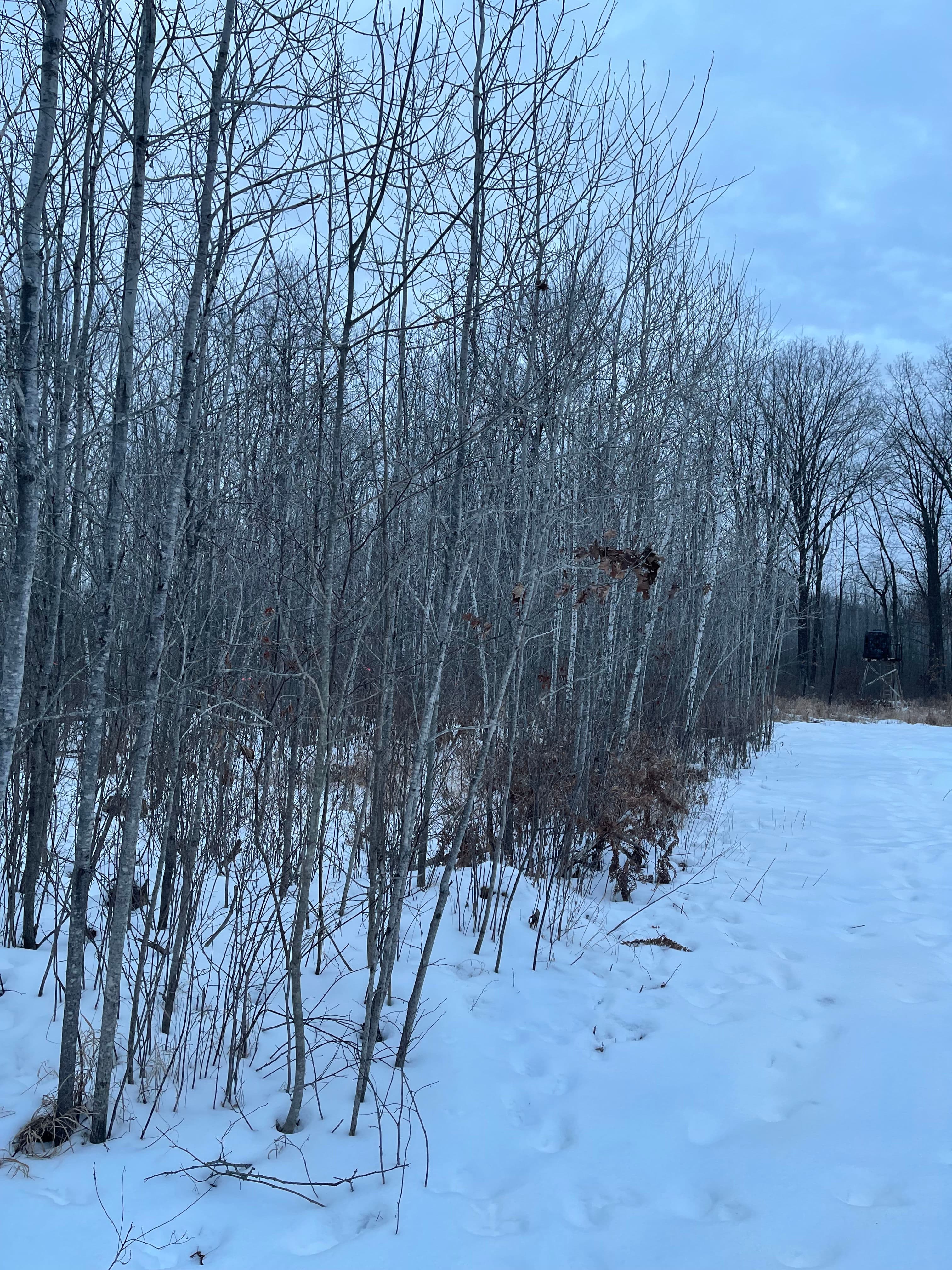 Winter Wonderland Transformation Near Bevent