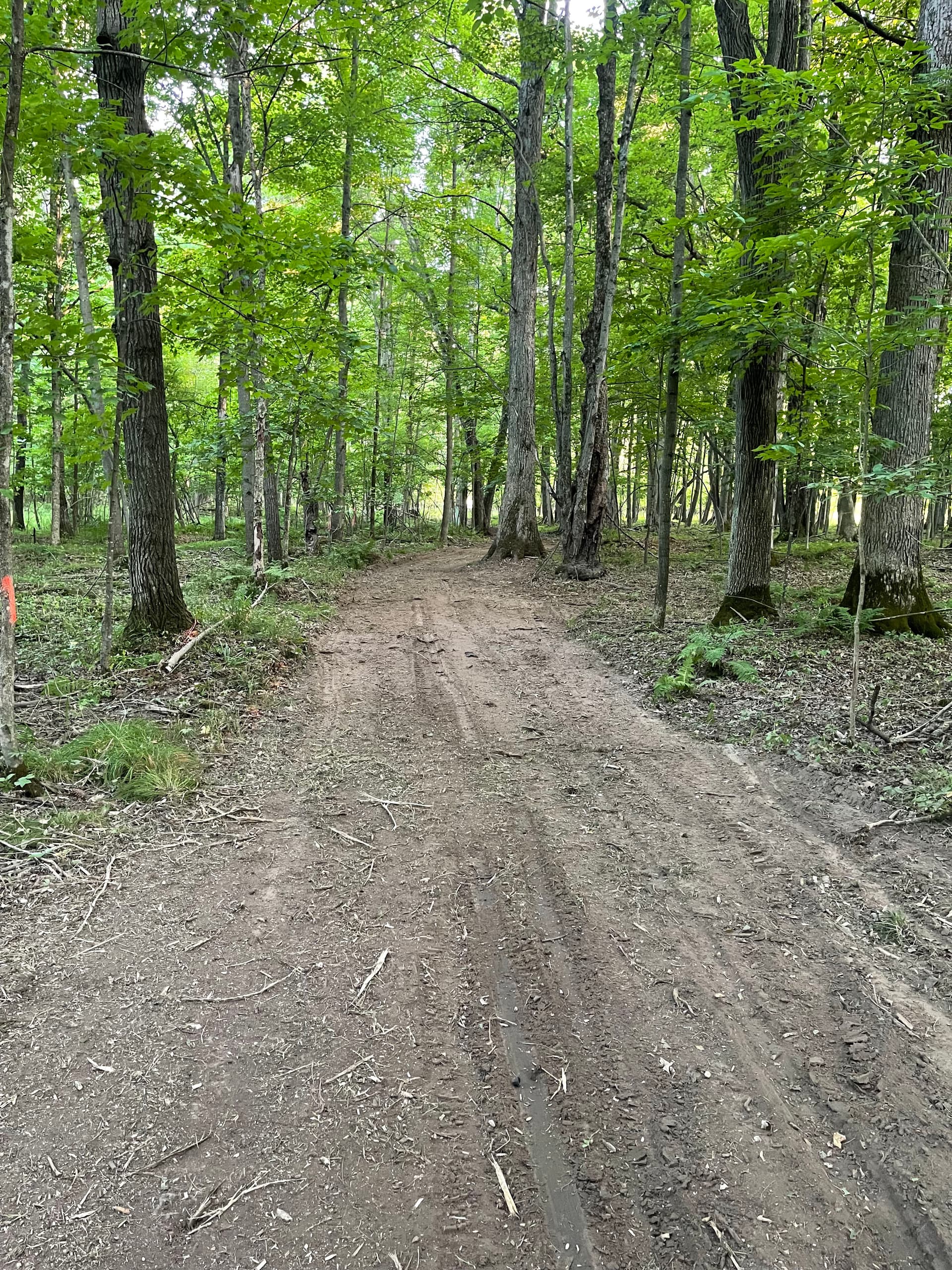 Gallery photos for Farm Trail Cleared and Opened Up in Loyal: Image #4