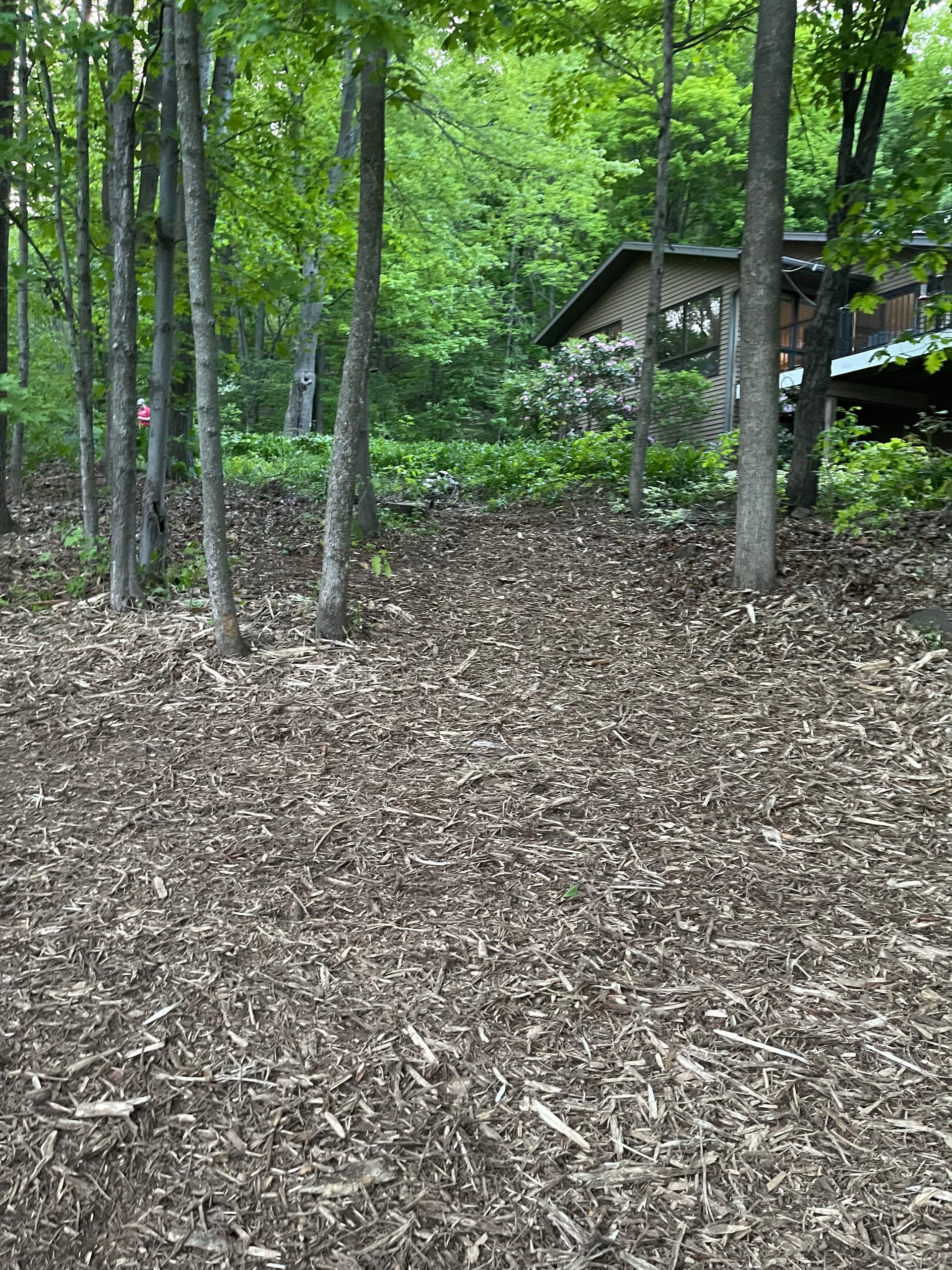 Gallery photos for Forestry Mulching and Log Cleanup in Rib Mountain: Image #4