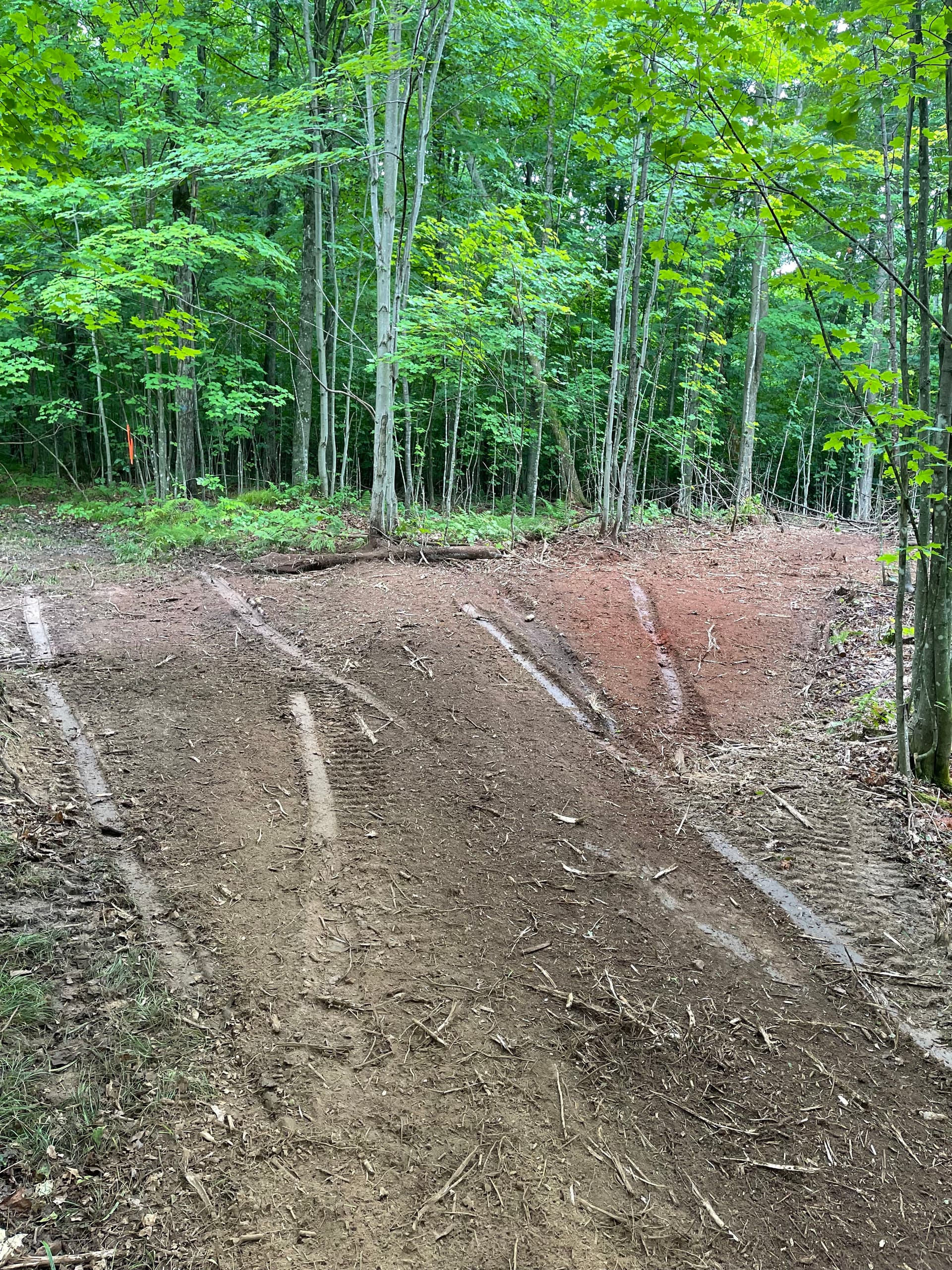 Gallery photos for Timber Slash Mulching Clears a Usable Trail in Rib Lake: Image #7