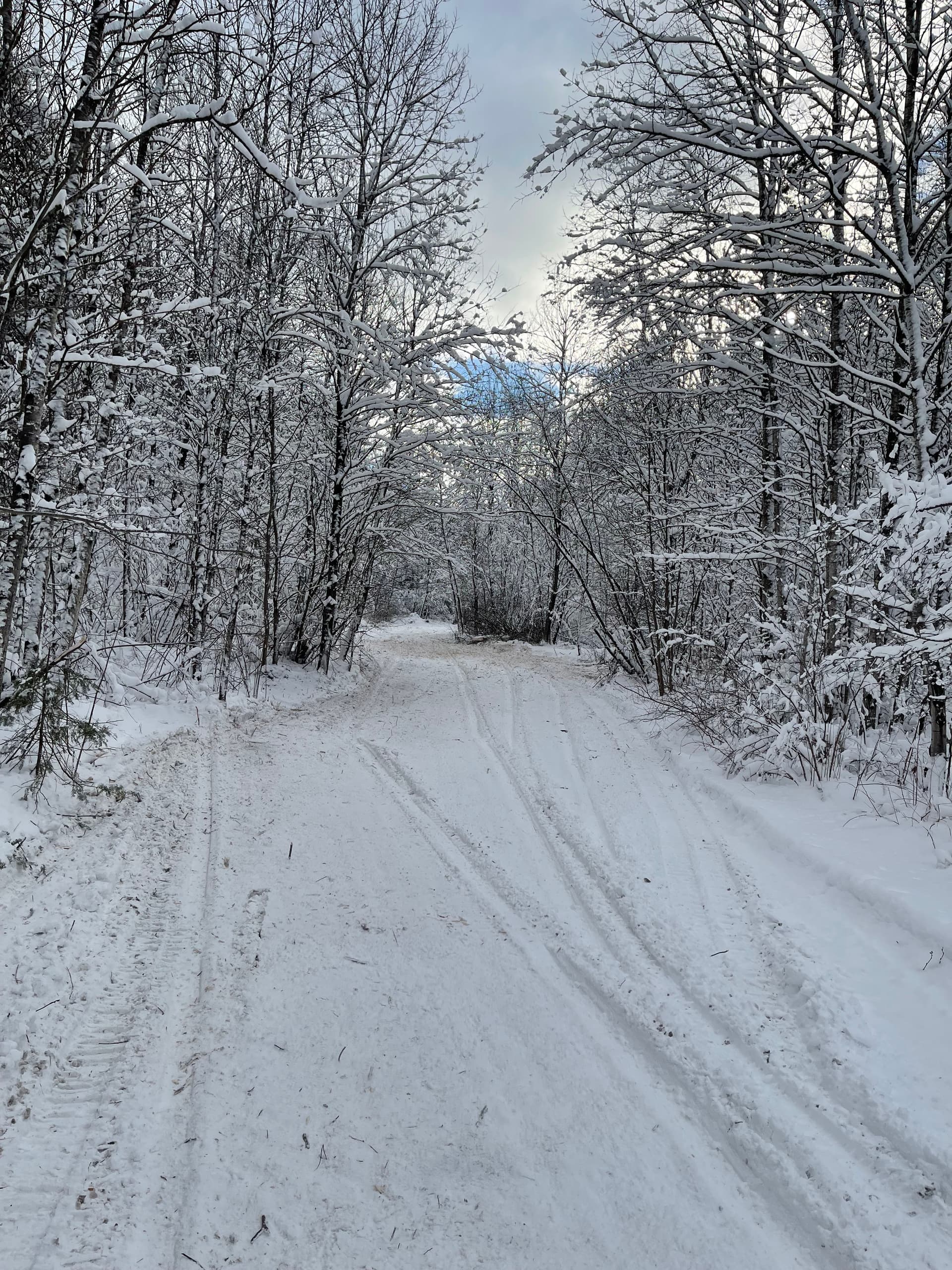 Gallery photos for Snowy Trails Cleared in Gleason: Image #4