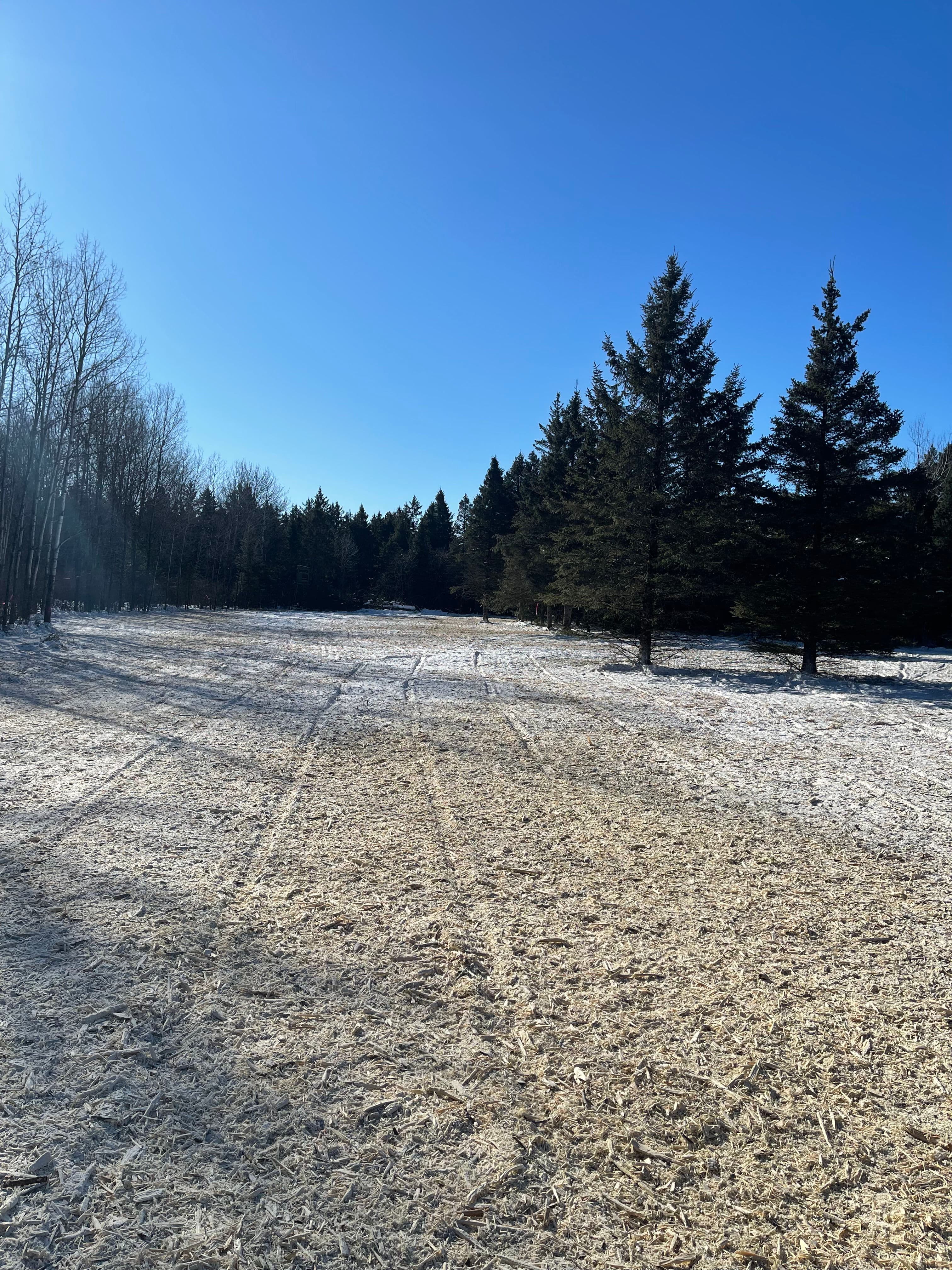 Project Forestry Mulching for Clear Paths in Hewitt image