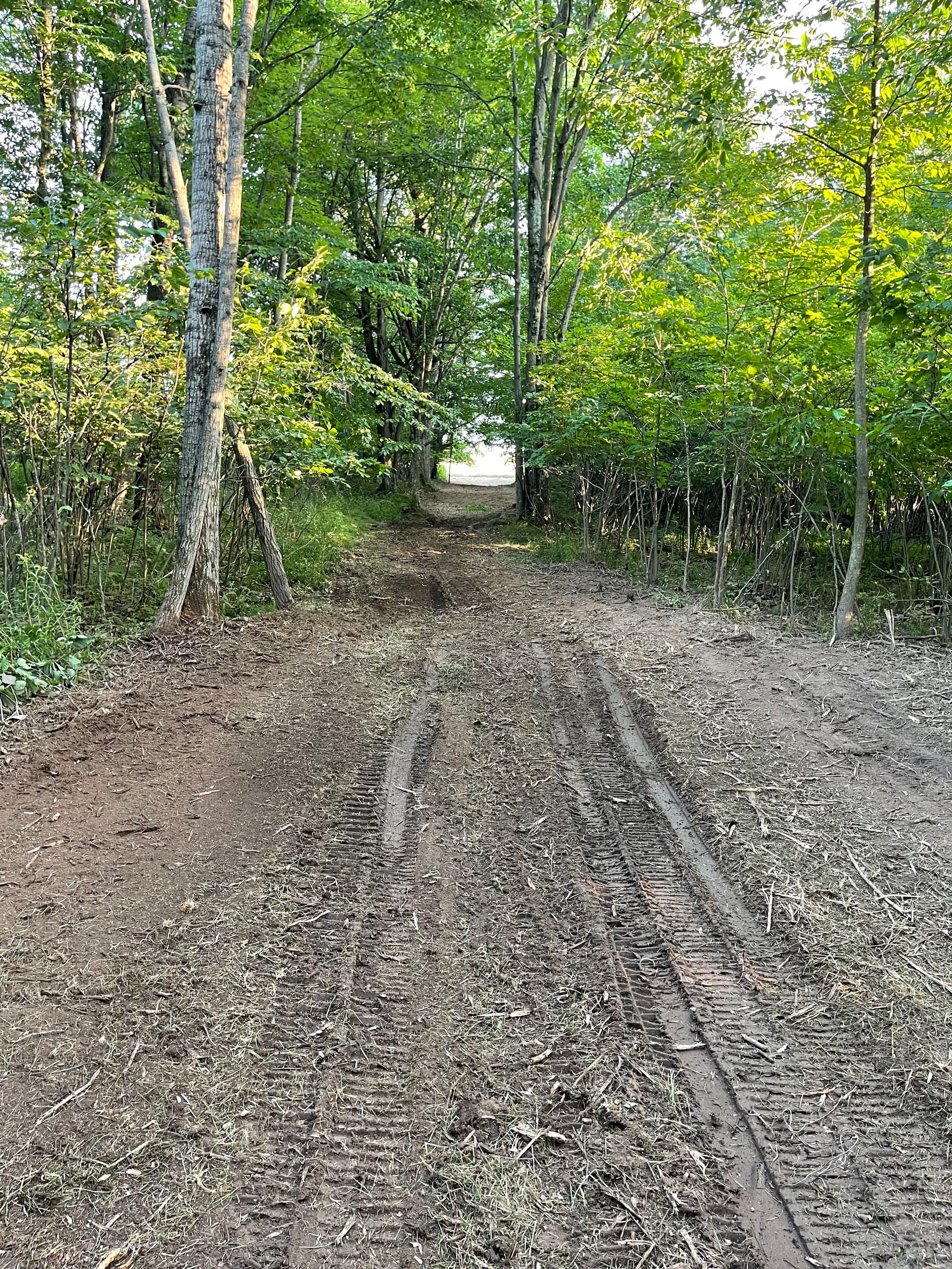 Gallery photos for Farm Trail Cleared and Opened Up in Loyal: Image #9