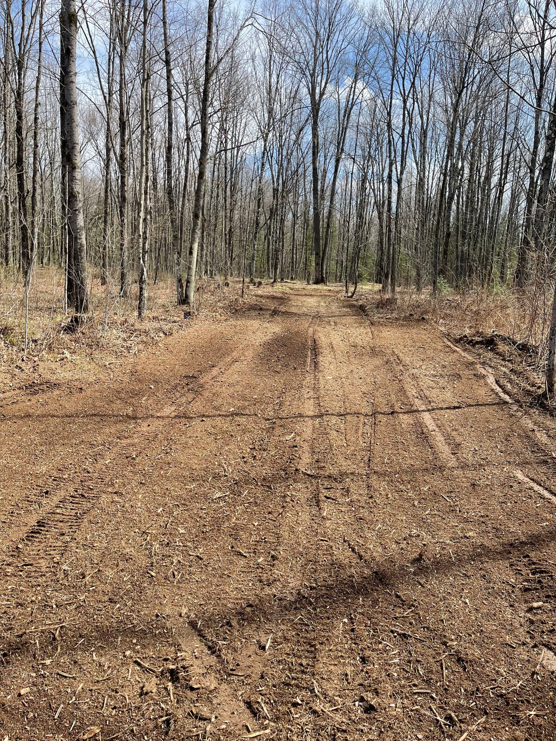Gallery photos for Forestry Mulching and Trail Clearing Opens Up Merrill Property: Image #1