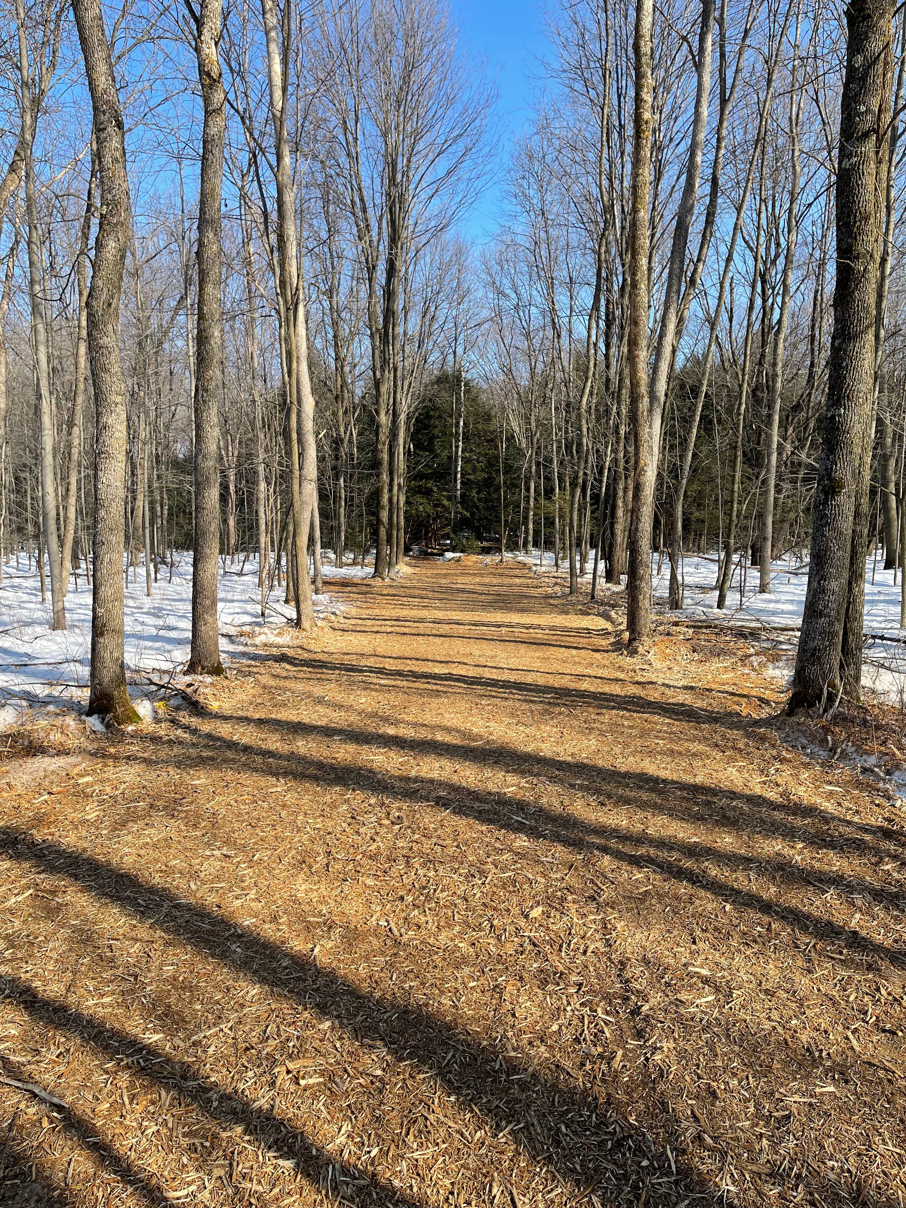 Project Opening New Hunting Paths for Empowered Dream Hunts in Marathon image