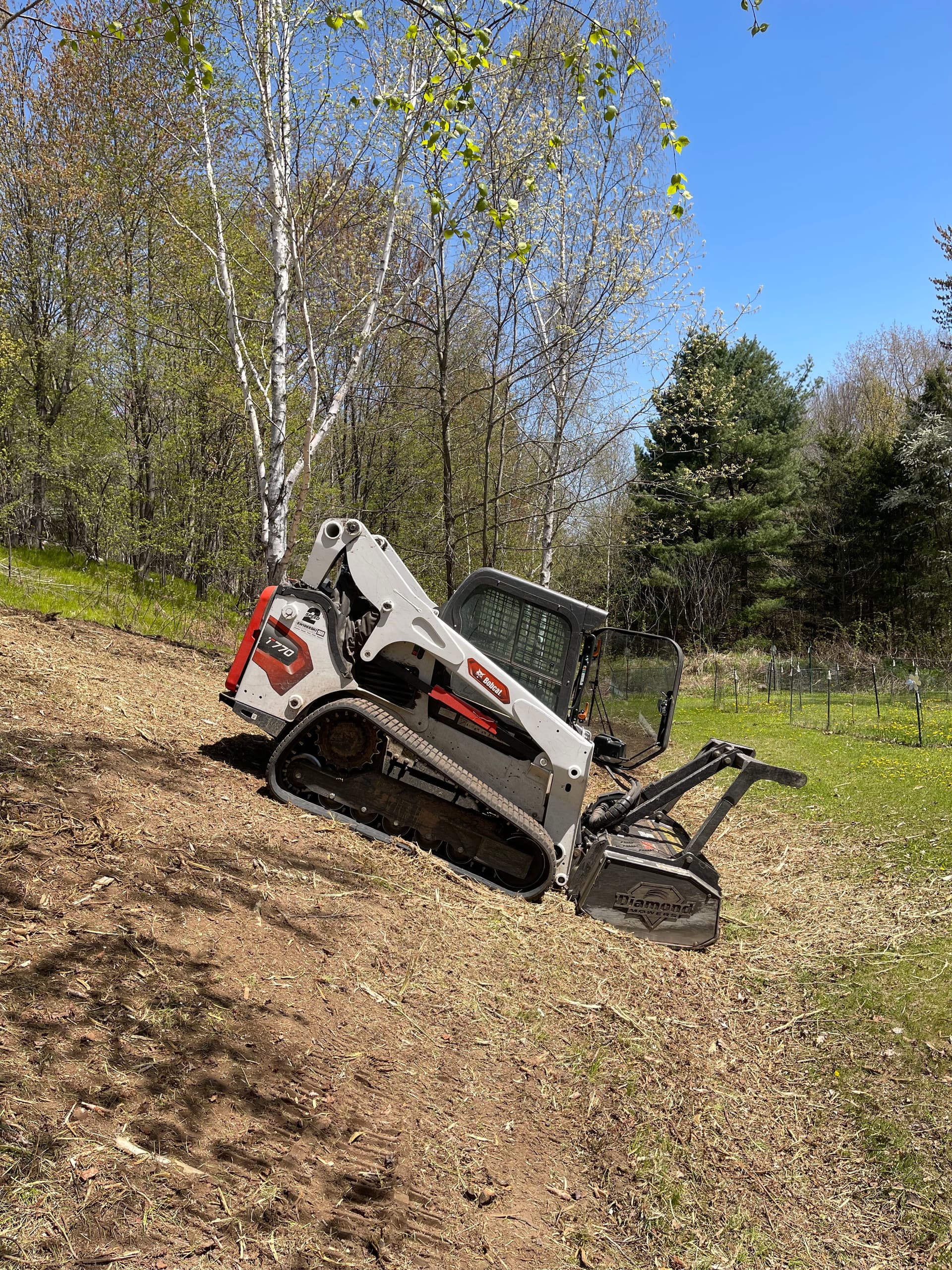 Gallery photos for Overgrown Hillside Cleanup in Hatley WI Done Right: Image #9