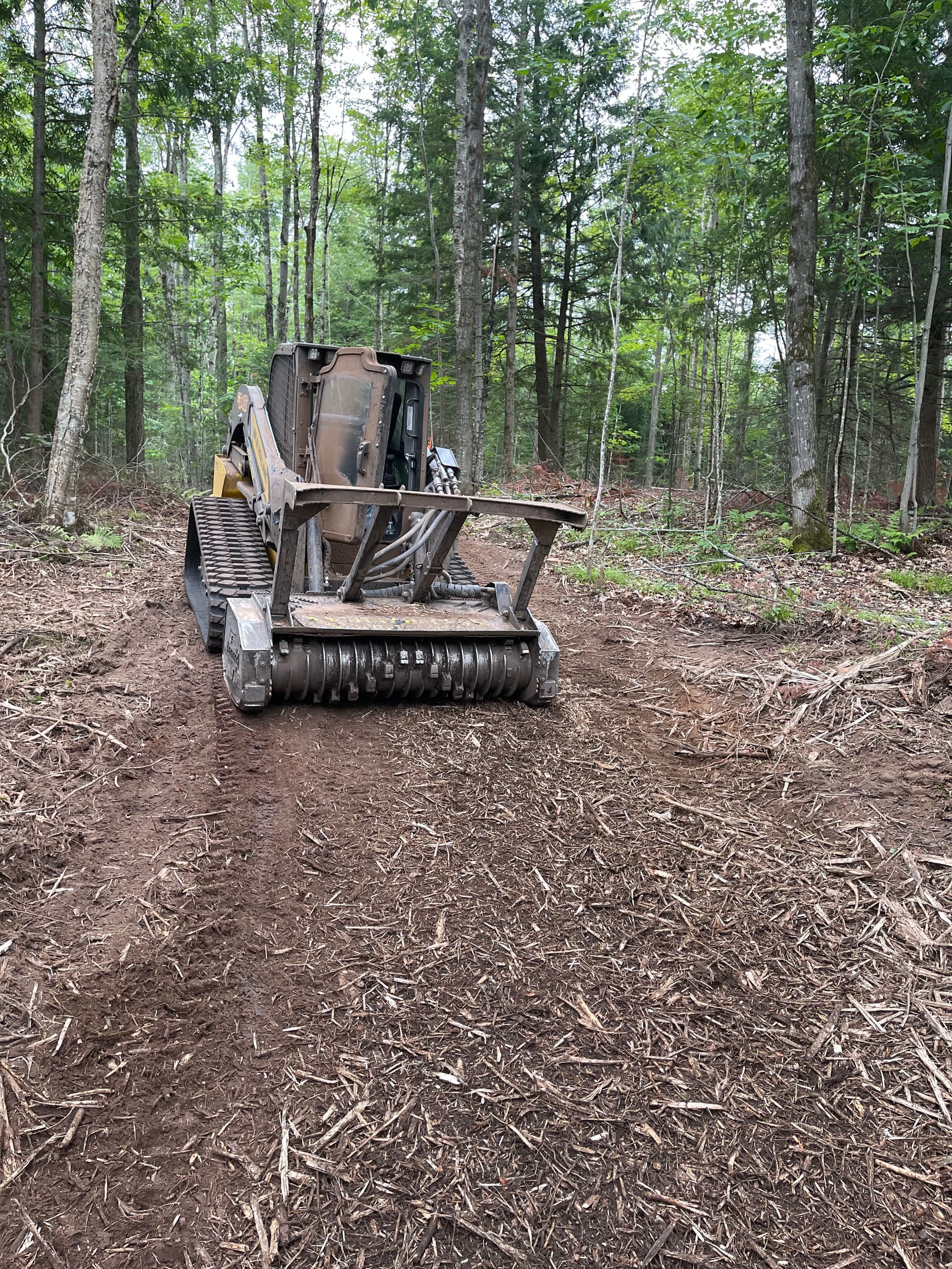 Gallery photos for Timber Slash Mulching Clears a Usable Trail in Rib Lake: Image #5