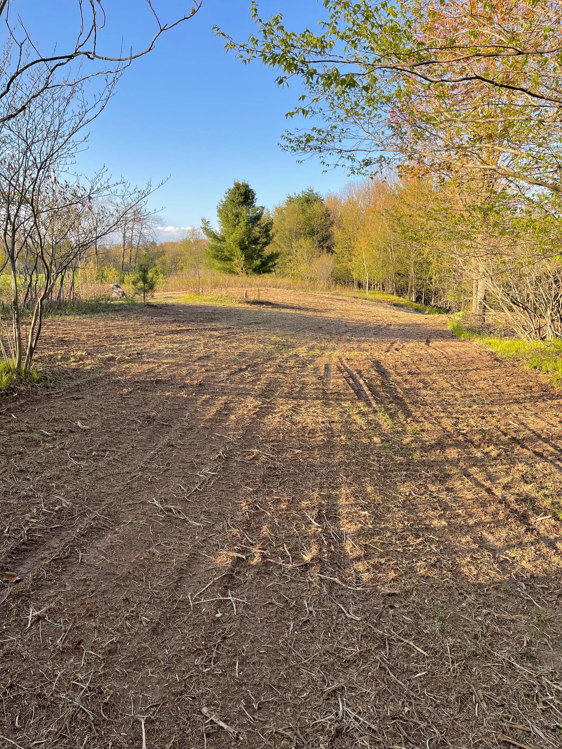 Gallery photos for Overgrown Hillside Cleanup in Hatley WI Done Right: Image #2