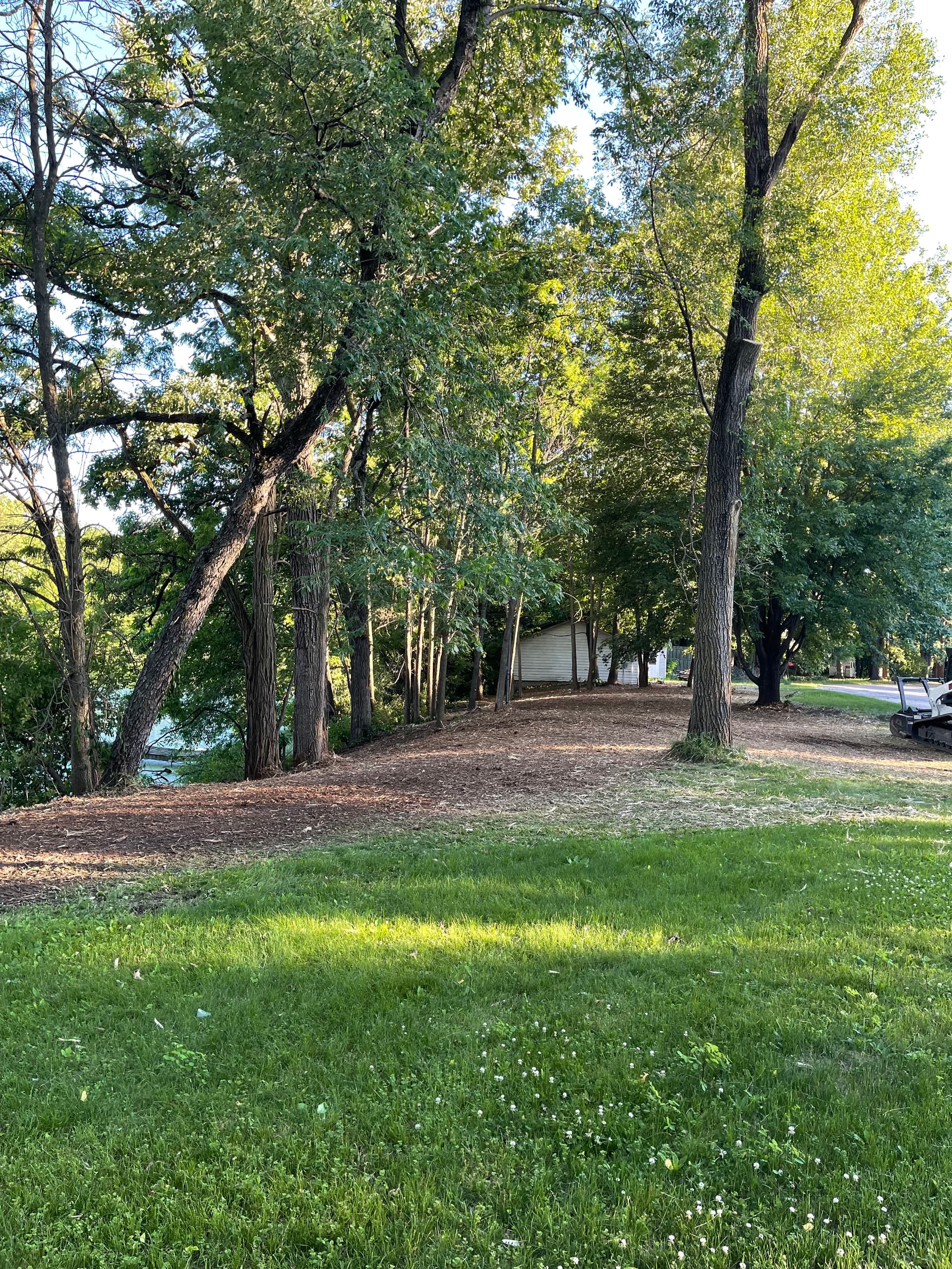 Forestry Mulching Cleans Up Overgrown Riverfront Property in Mosinee image
