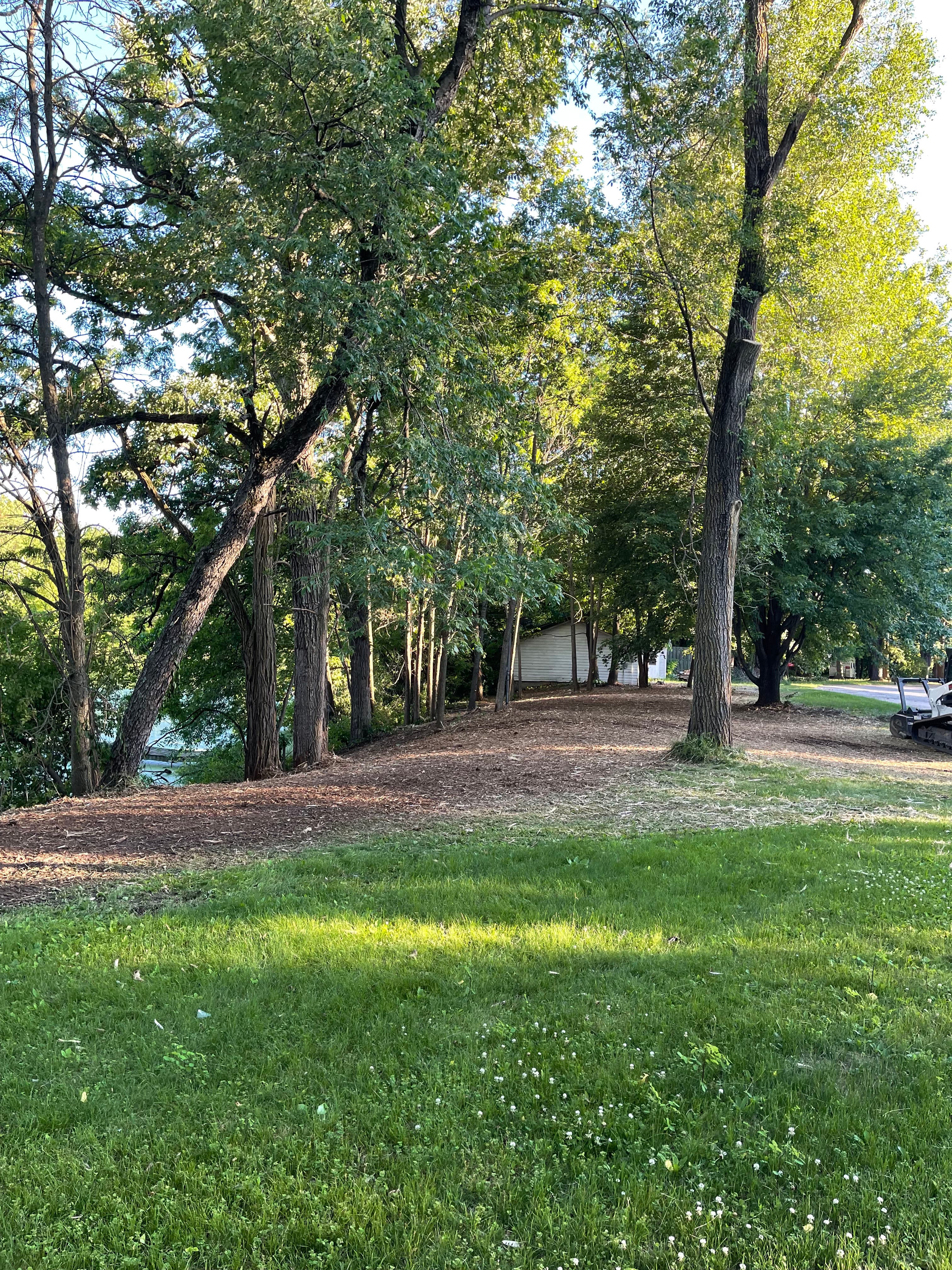 Project Forestry Mulching Cleans Up Overgrown Riverfront Property in Mosinee image