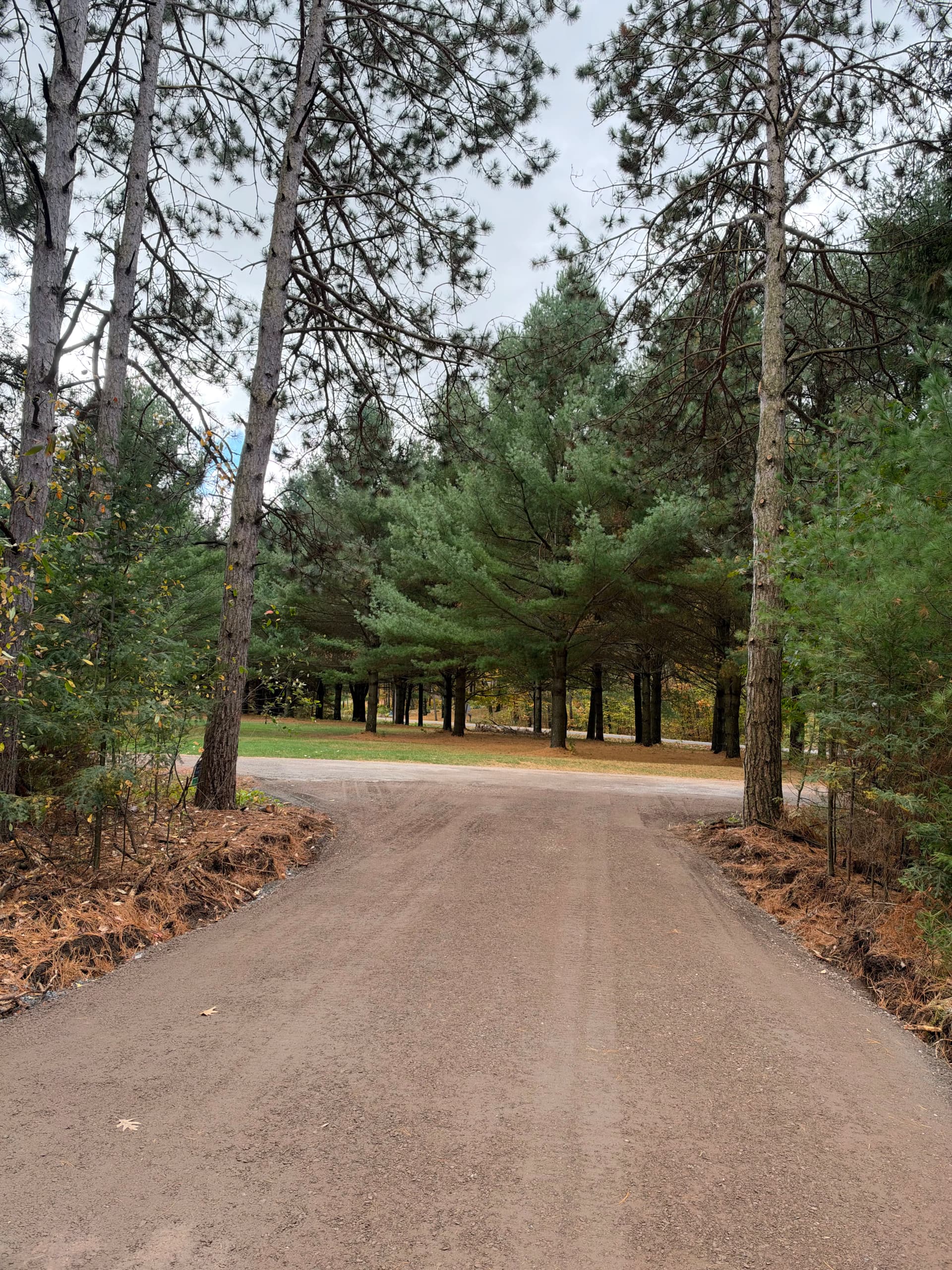 Gallery photos for Lake DuBay Lot Clearing and Driveway Entrance in Mosinee: Image #1