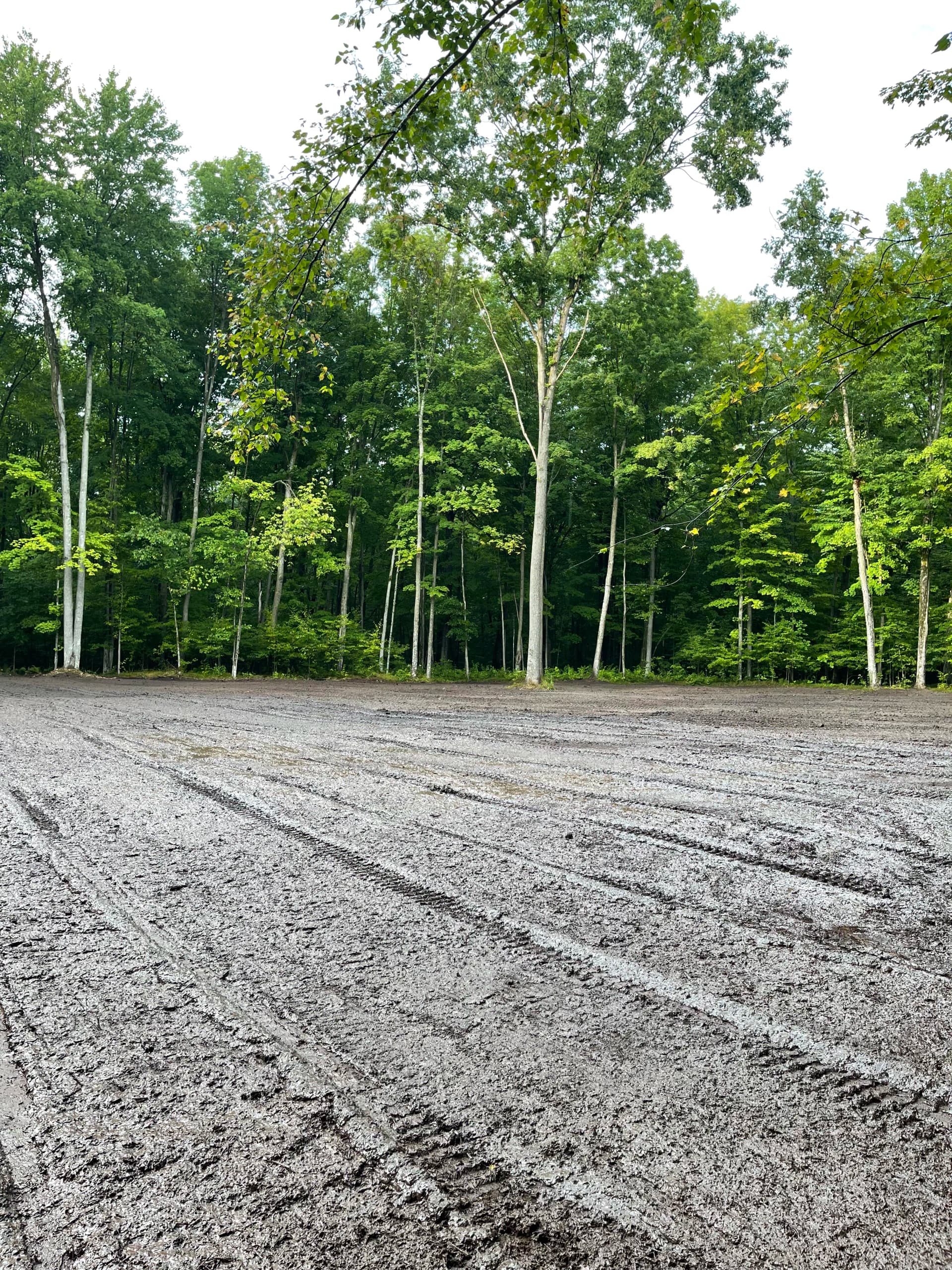 Gallery photos for Forestry Mulching a Food Plot in Mosinee: Image #3