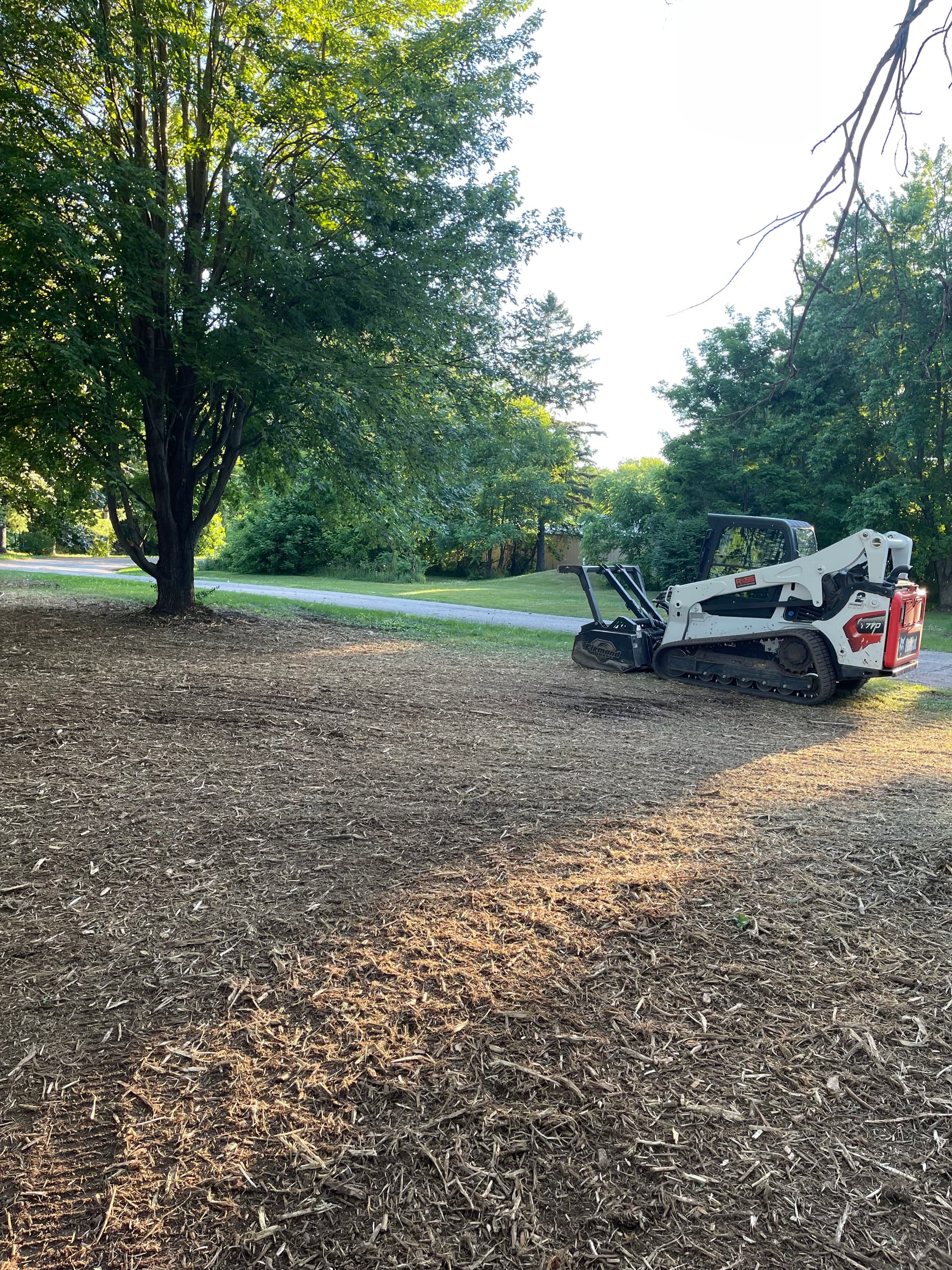 Gallery photos for Forestry Mulching Cleans Up Overgrown Riverfront Property in Mosinee: Image #6